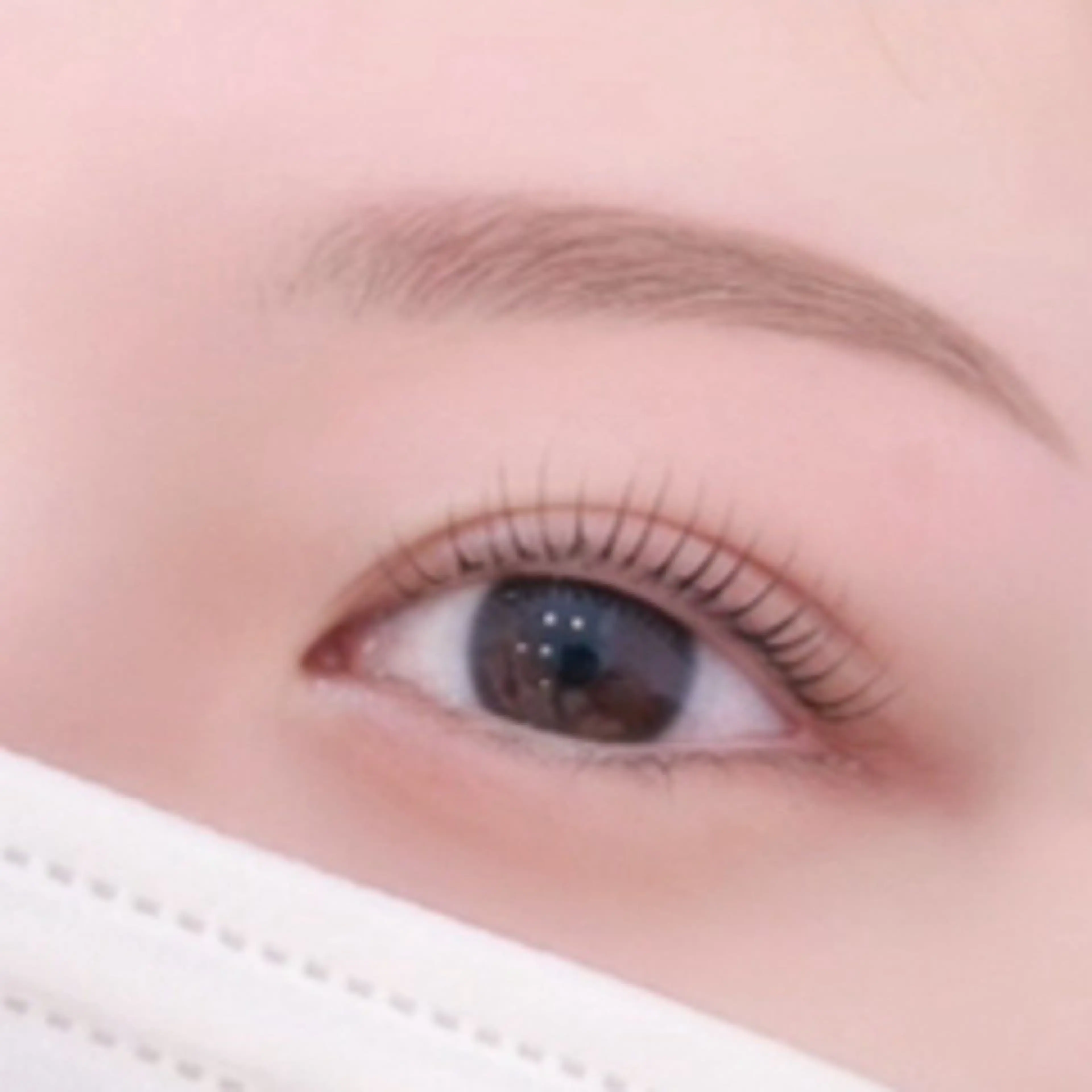 似合わせまつ毛パーマ&アイブロウワックスの写真