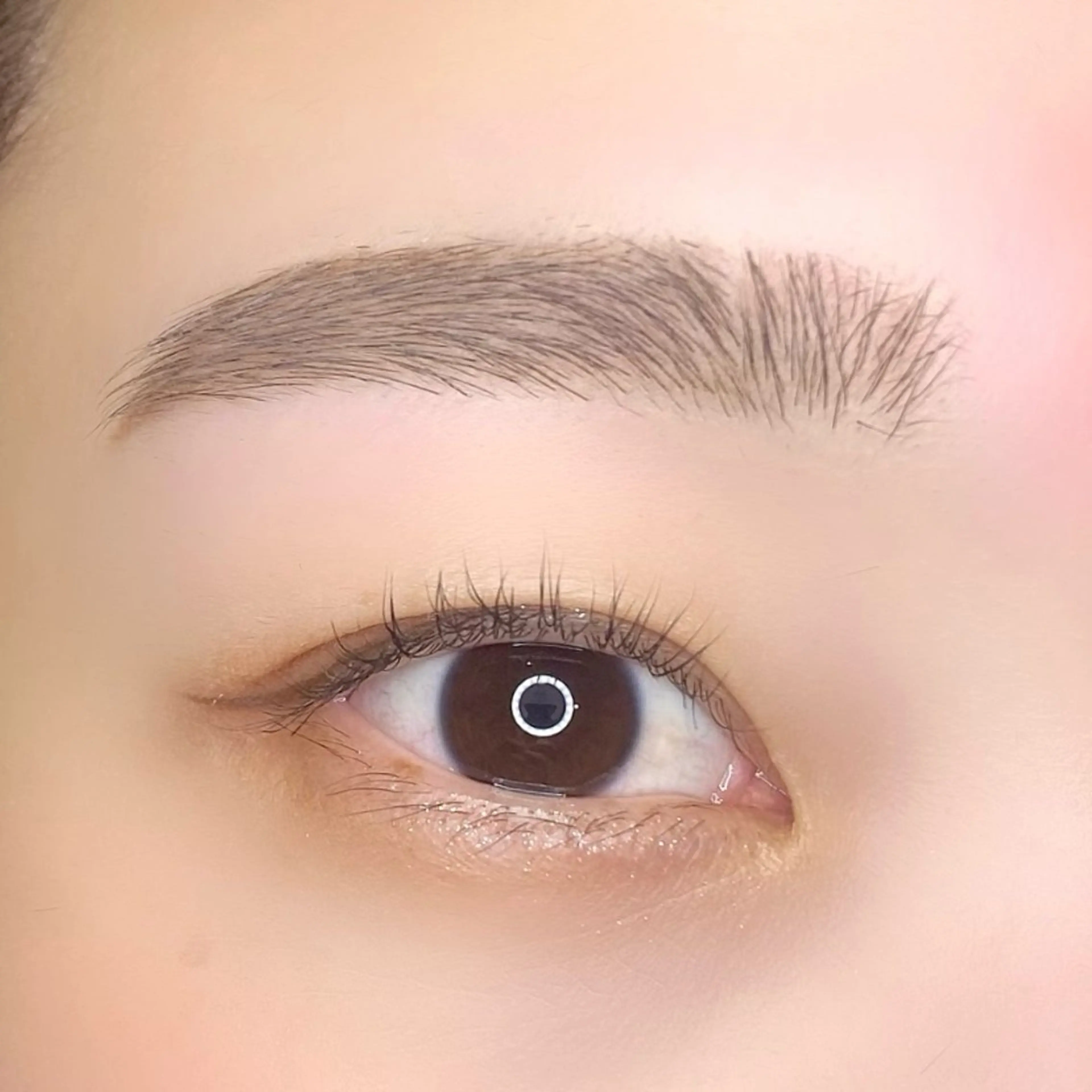 アイブロウ ワックス脱毛 眉カット その他(アイブロウ) ma'am eyesalon 錦糸町店所属・MOMI🍒美眉 スタイリング⭐︎の眉毛・アイブロウイメージ