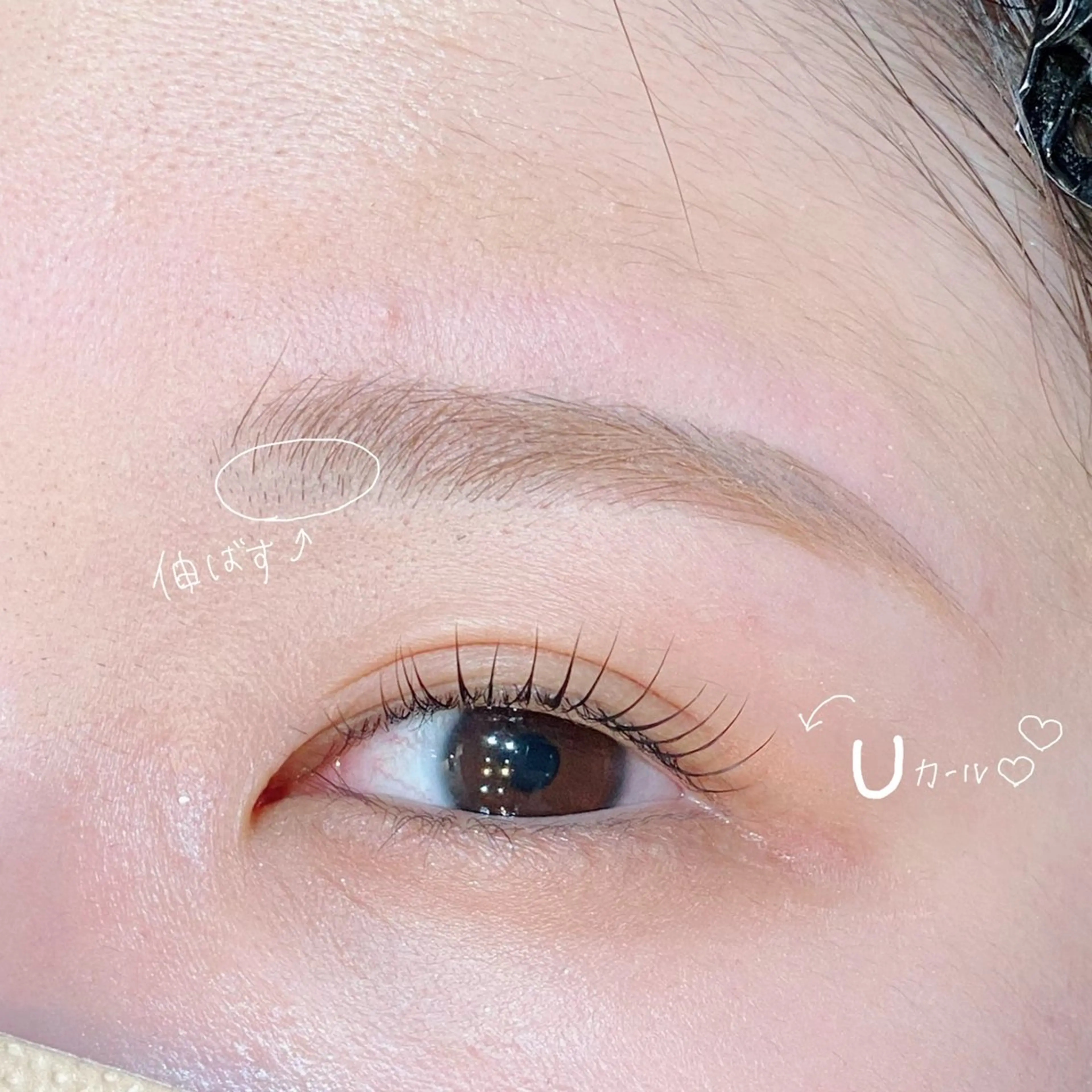マツエク・マツパ 一重×まつ毛パーマ haru所属・眉サロンharu 表参道🤍岡本の眉毛・アイブロウイメージ
