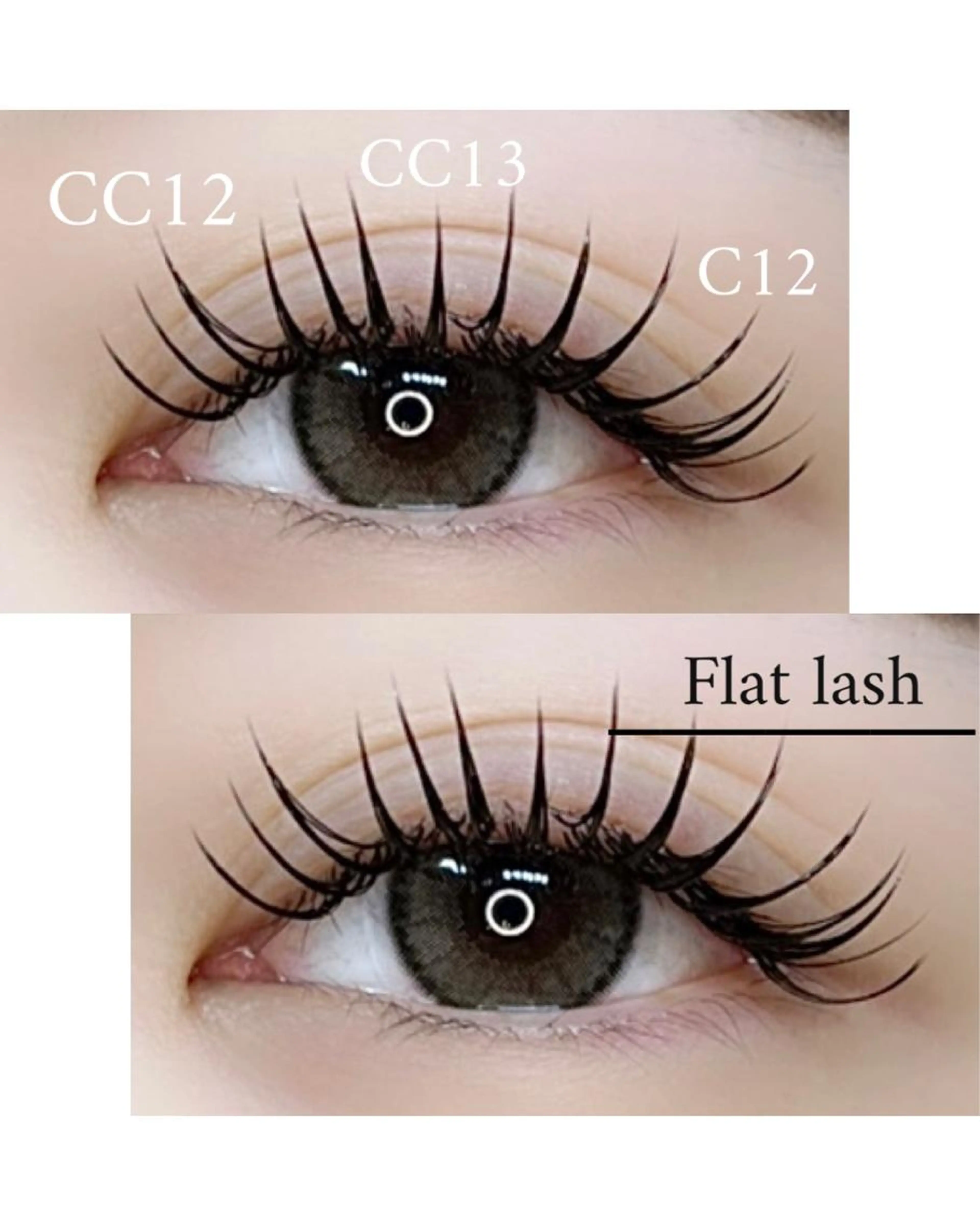 【🩷期間限定🩷】フラットラッシュ120本👀🎶の写真