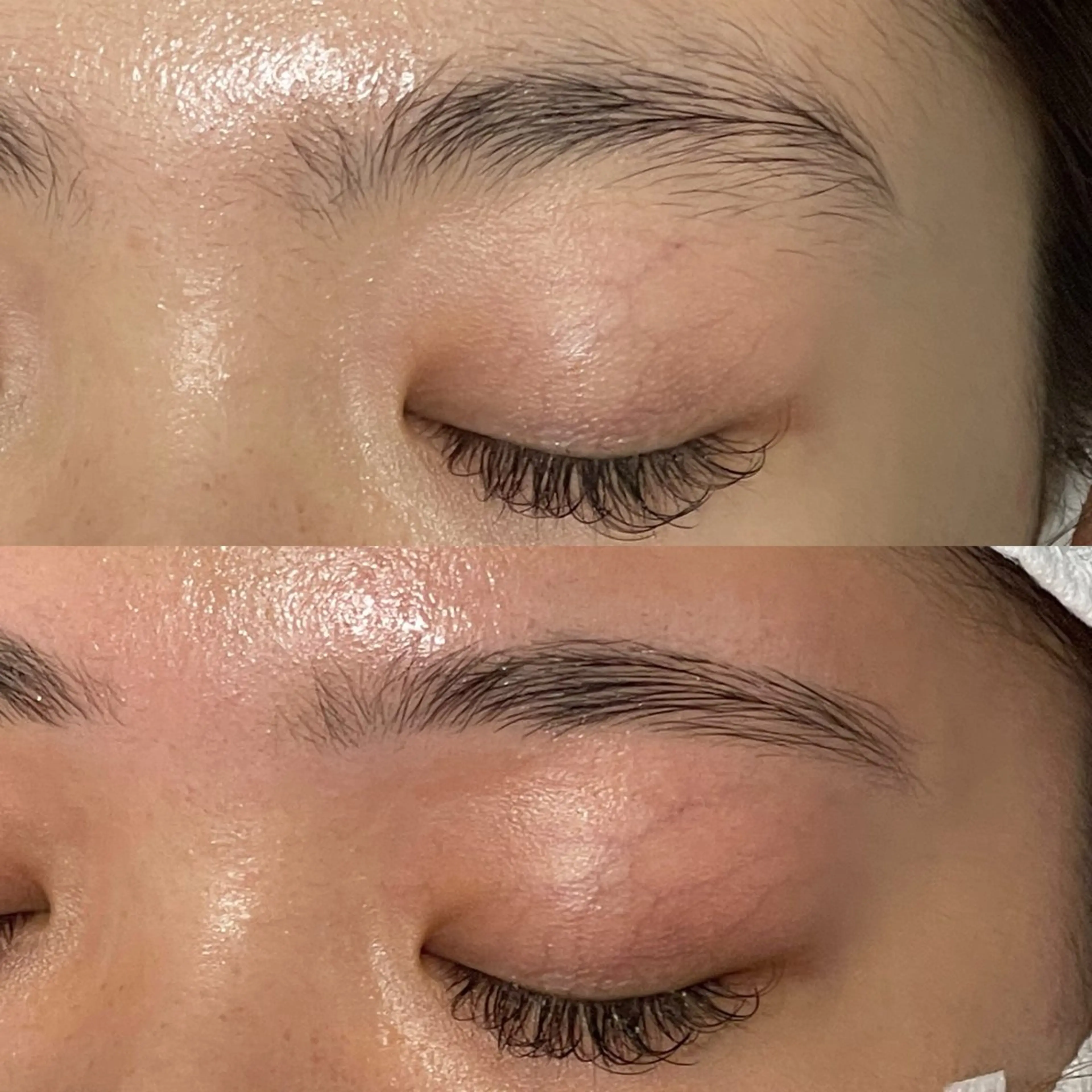 アイブロウ ハリウッドブロウリフト 眉毛ワックス脱毛 PROGRESS 🤍白井🤍のマツエク・マツパデザイン