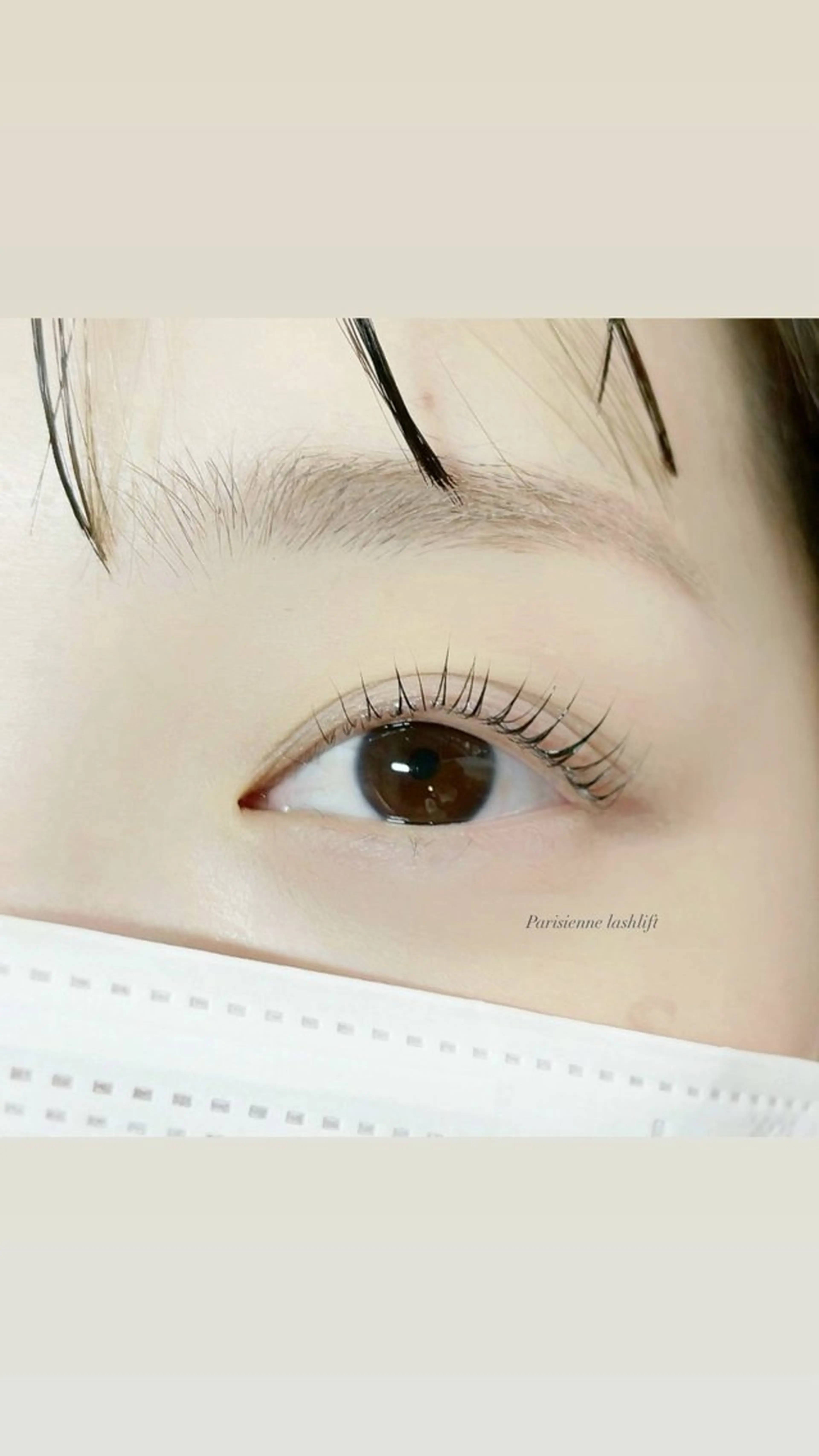 マツエク・マツパ ナチュラル パリジェンヌラッシュリフト マツパ apis eye所属・apis eyeのマツエク・マツパデザイン