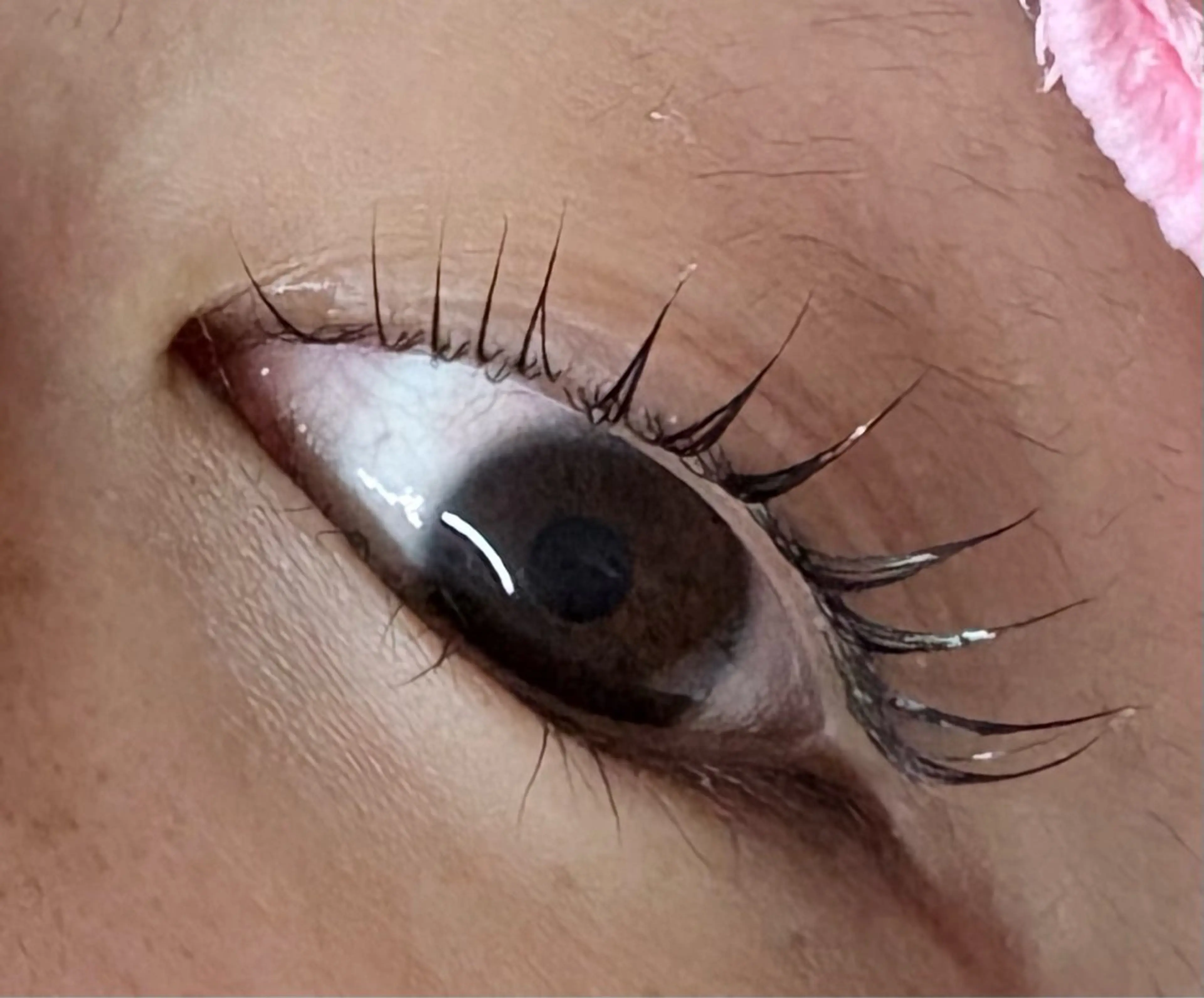 マツエク・マツパ トータルビューティー サロン・Ｎの眉毛・アイブロウイメージ