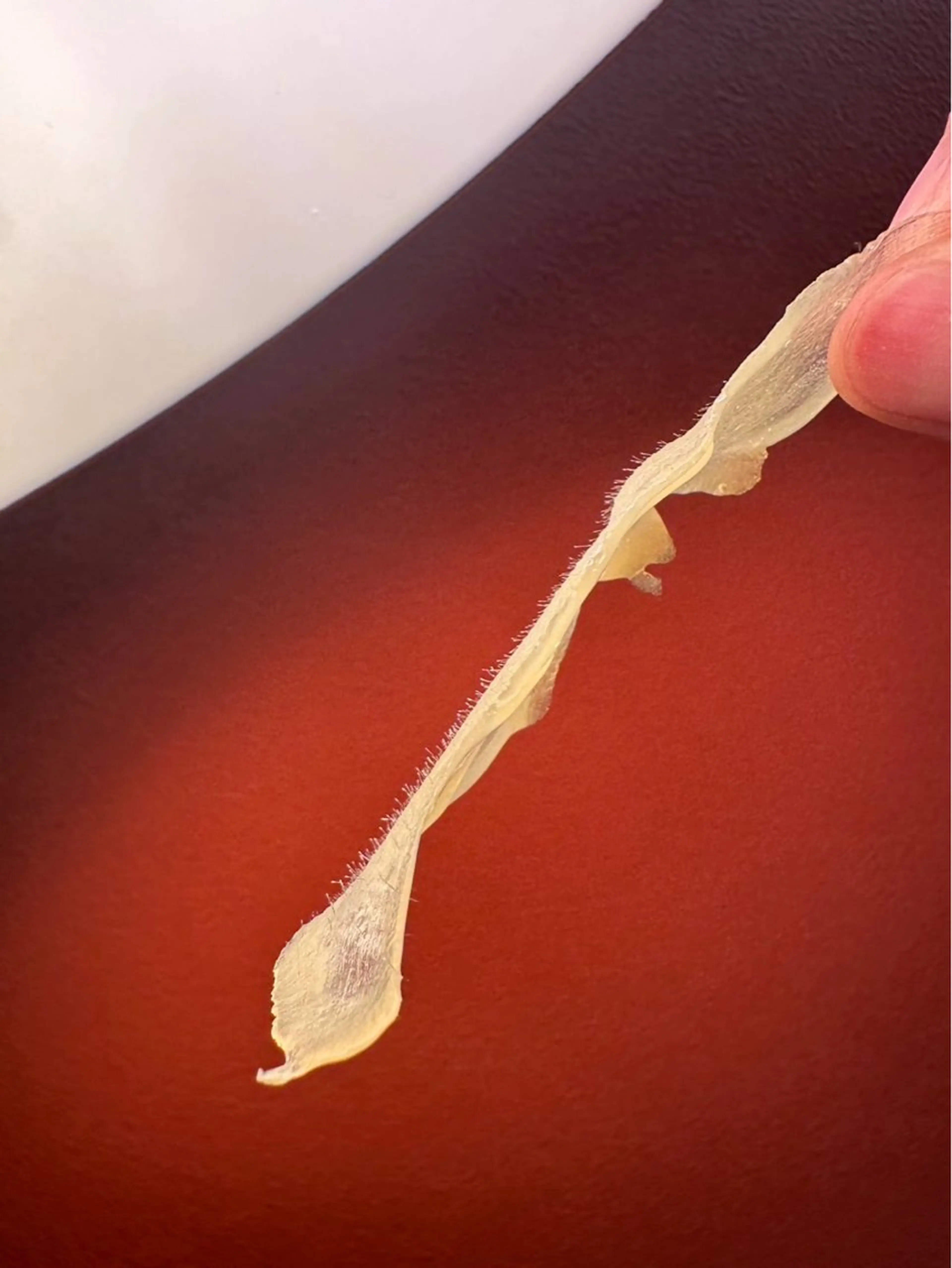 マツヤニワックス専門 堂山町 ルミエールのエステ・リラクイメージ