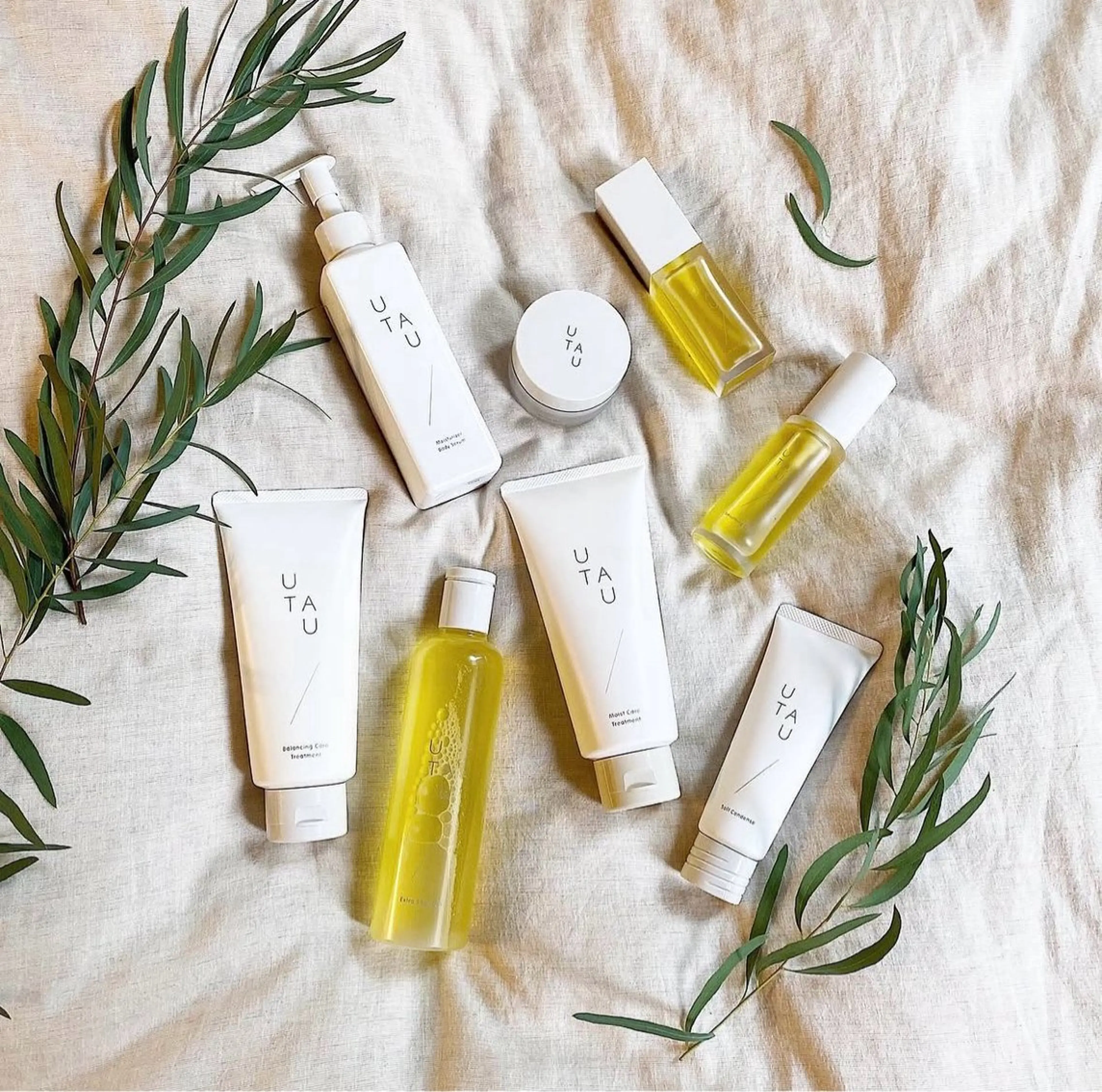 🌿UTAUアロマ香る癒しのヘッドスパの写真