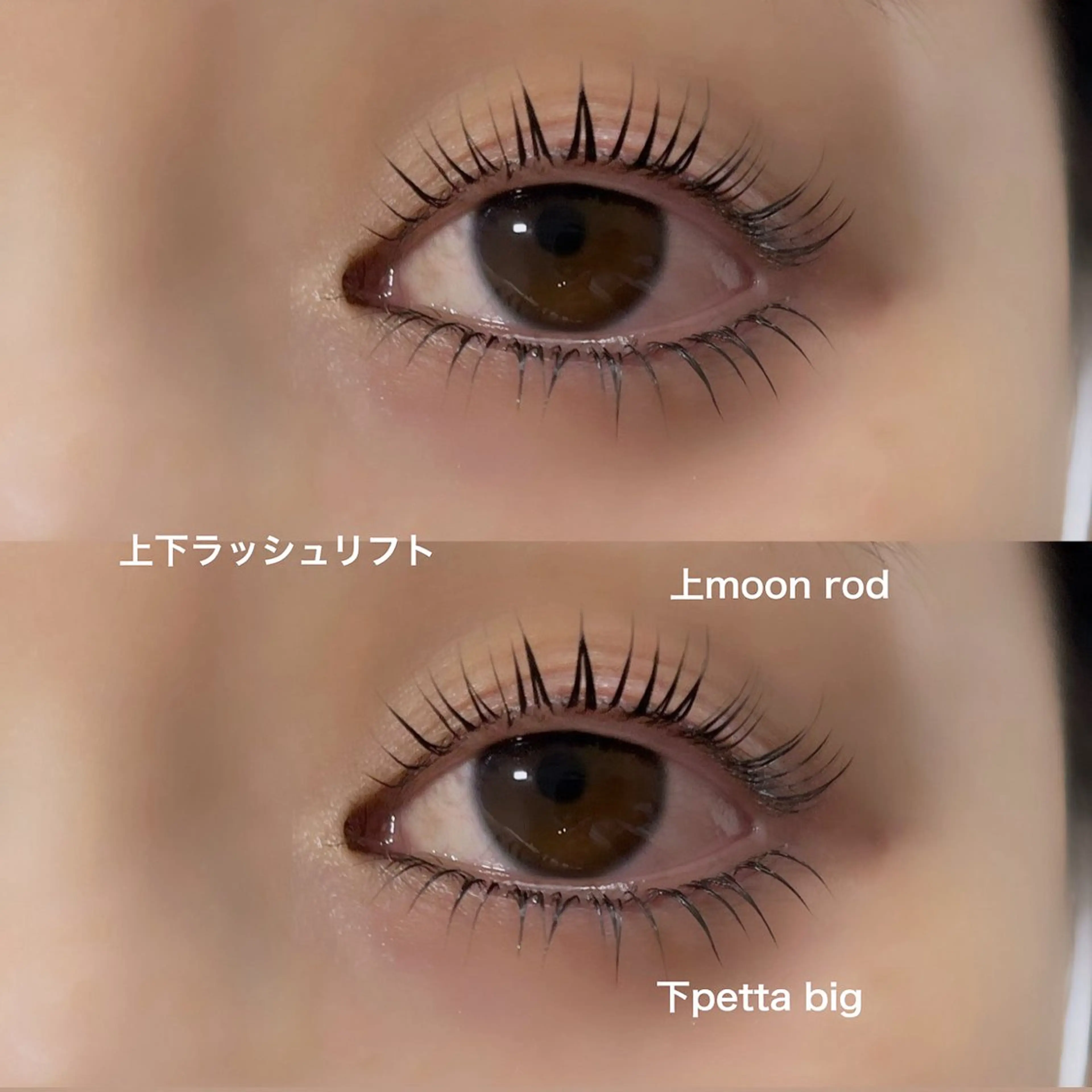 マツエク・マツパ muereye tocuの眉毛・アイブロウイメージ