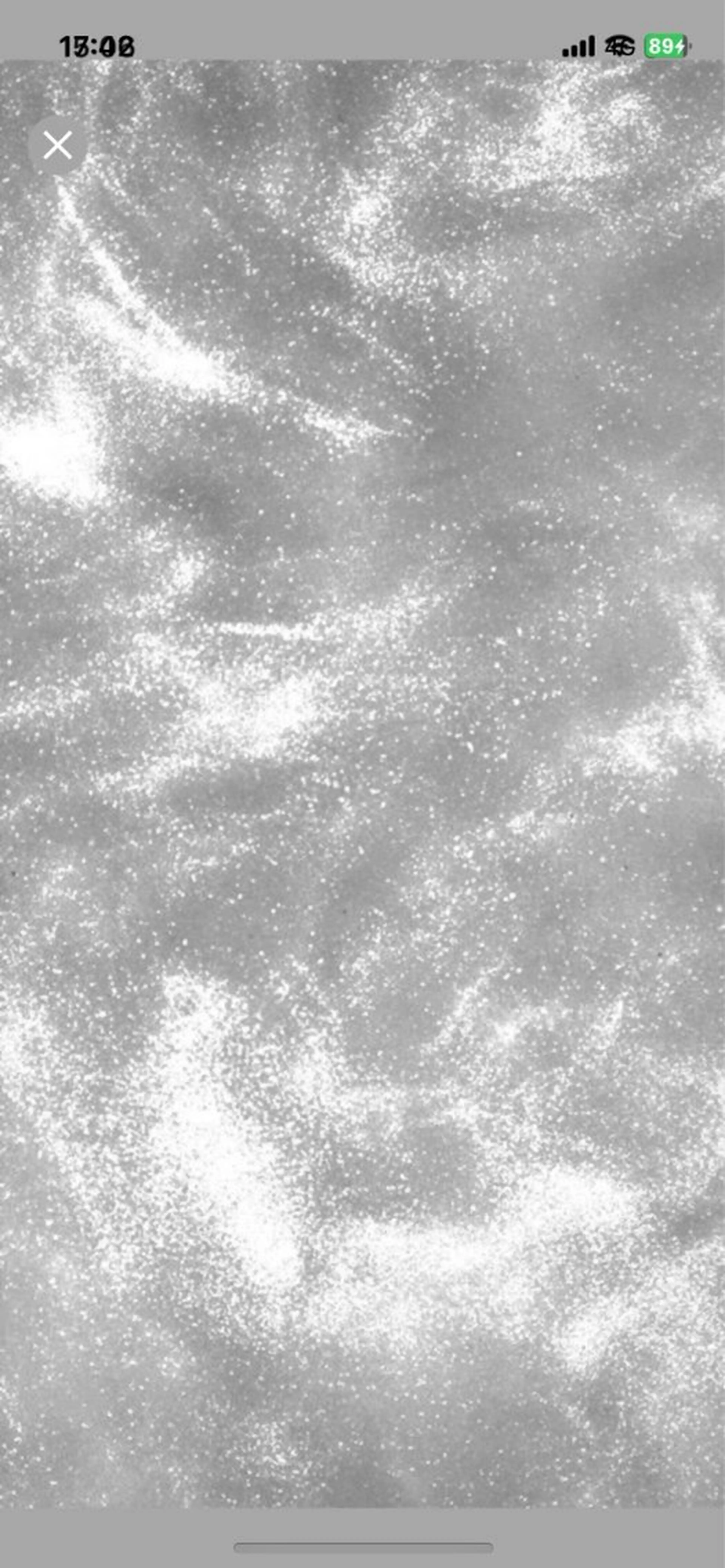 マツエク・マツパ Bianca Reika⭐️のマツエク・マツパデザイン