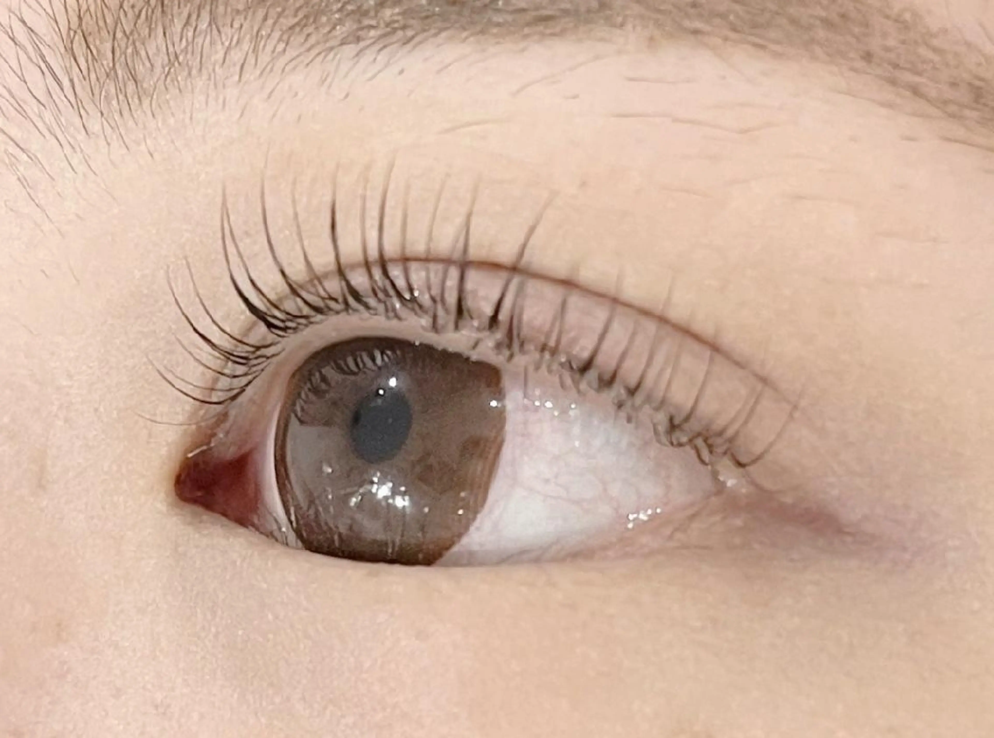 マツエク・マツパ パリジェンヌラッシュリフト マツパ ESCOS🌷 MURAKAMIのマツエク・マツパデザイン