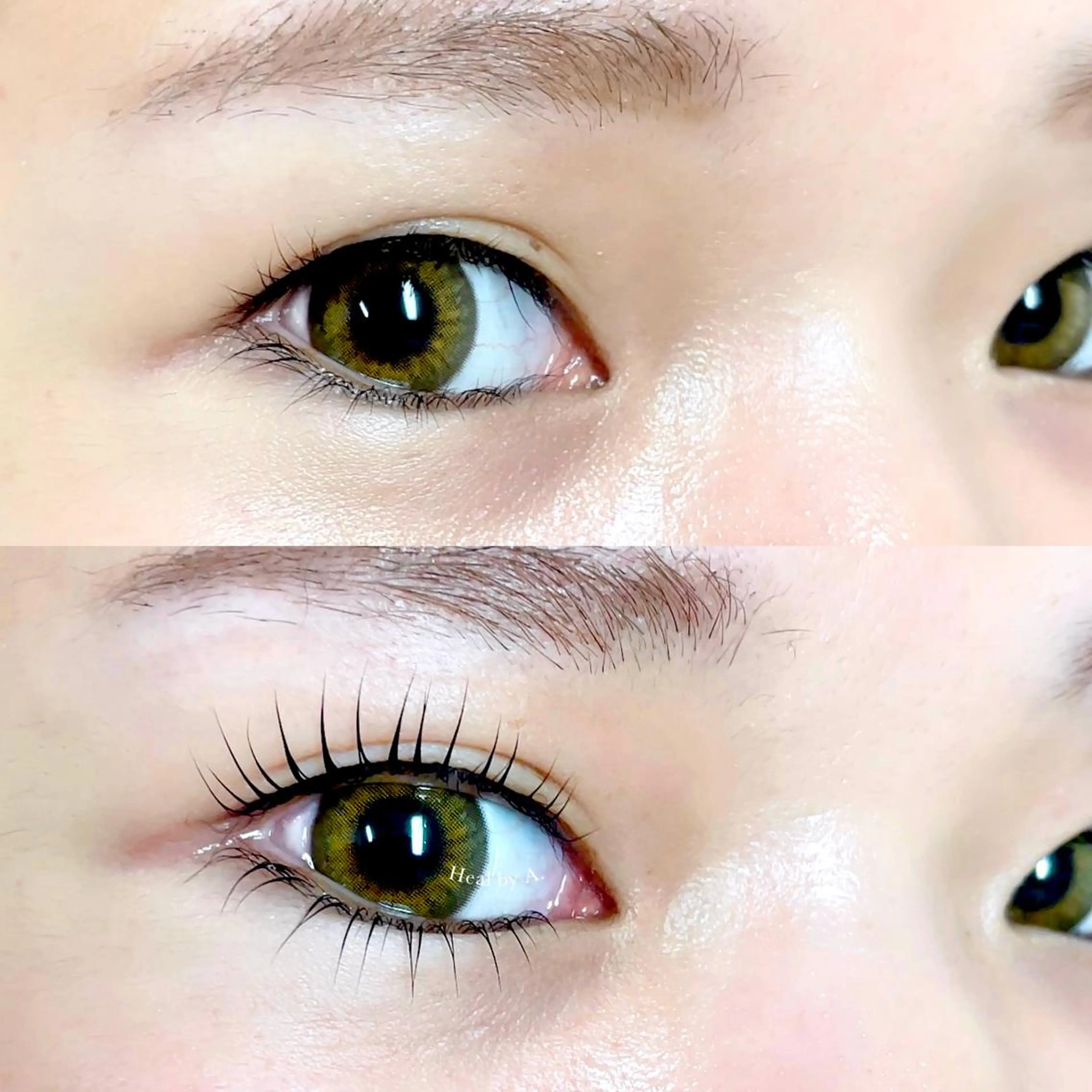 撮影モデル特別価格🎀下まつげパーマの写真