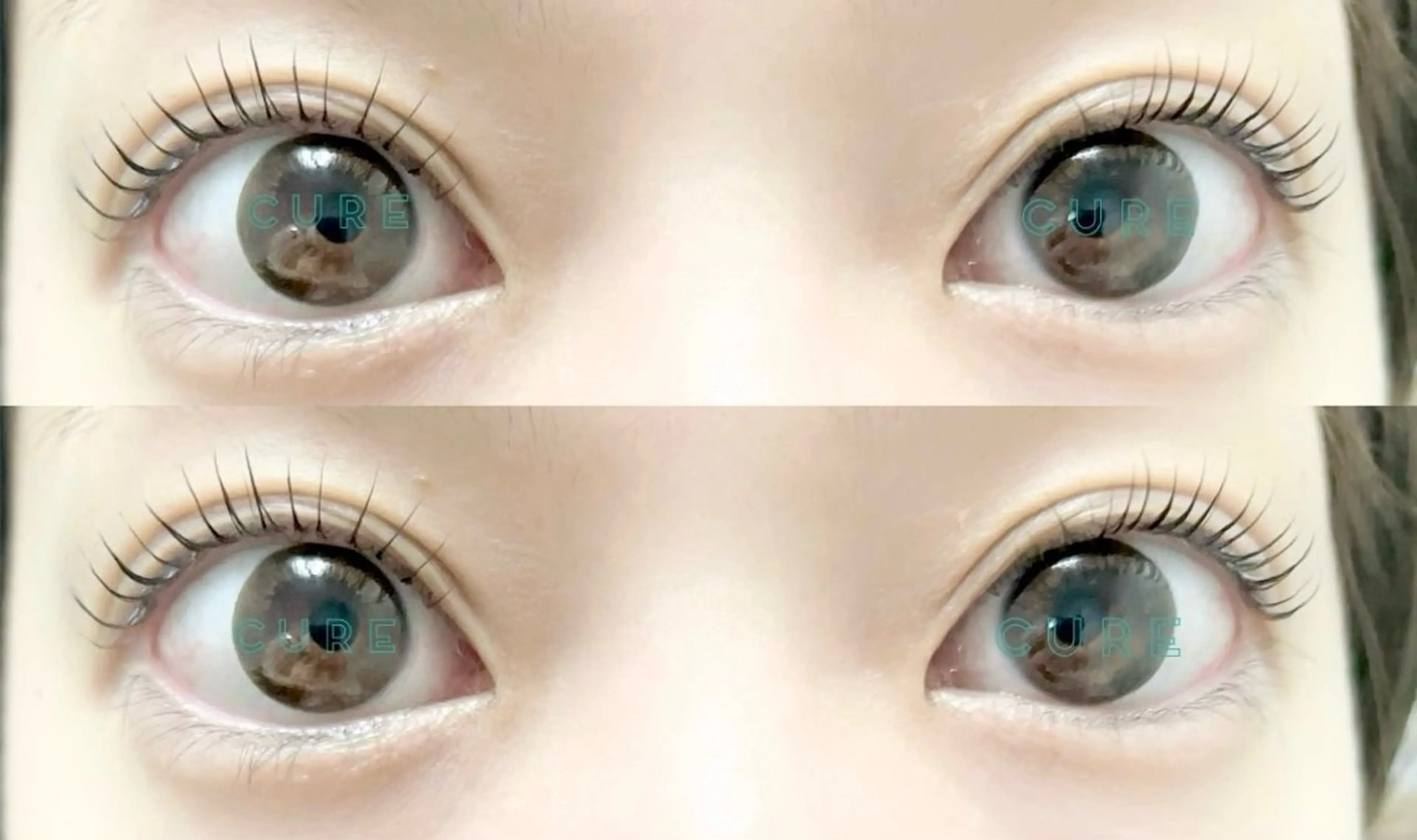 ブラックトリートメント付き♪ラッシュリフトの写真