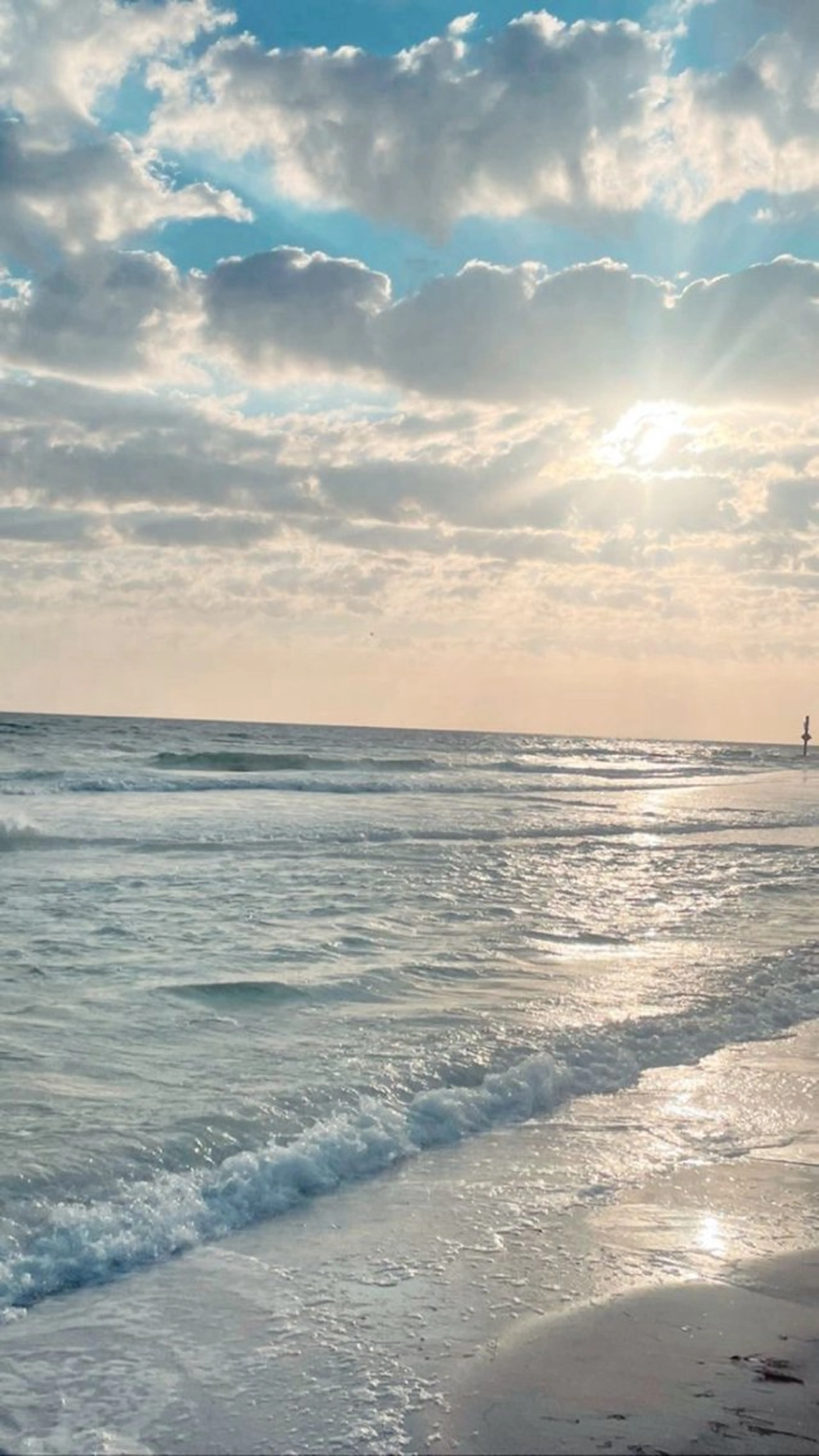 ∴Sanae. ∴ トータルビューティーのネイルデザイン