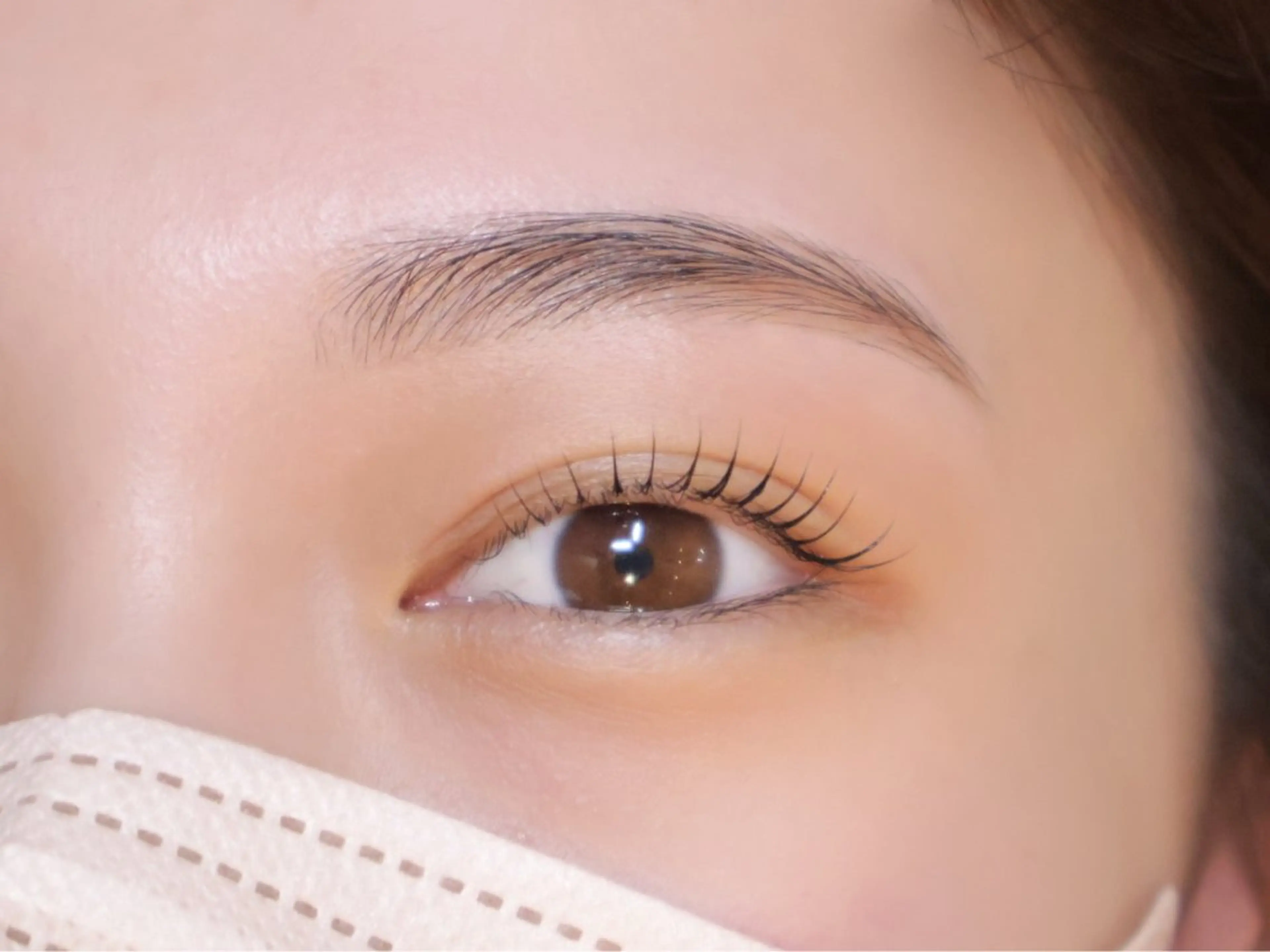 【限定モデル価格】アイブロウ×ラッシュリフトの写真
