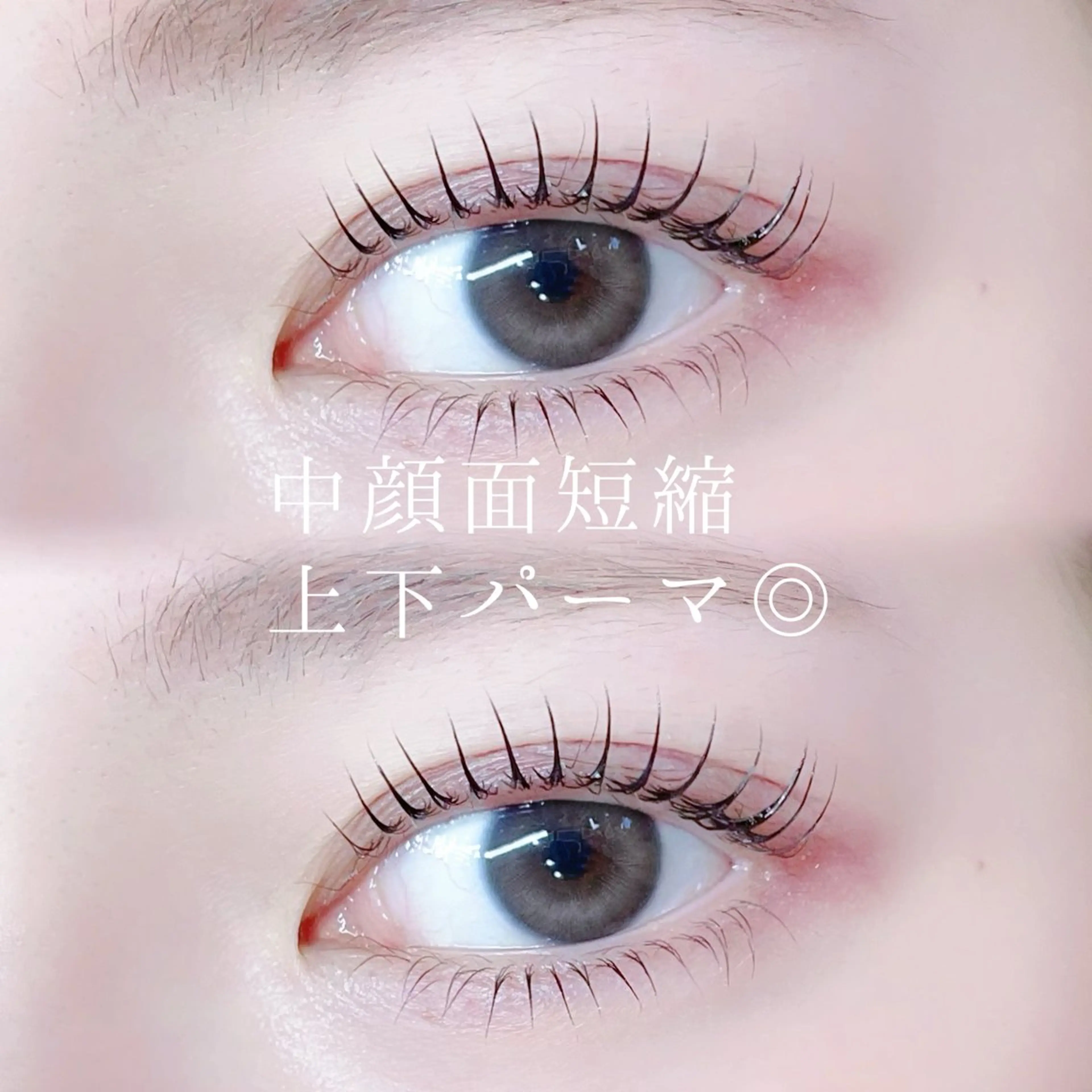 【♥️12月限定🎄.*】上下ぱっちり🎀韓ドル風束感パーマ🫧  中顔面短縮×目元盛れ✨rei指名限定🤍の写真