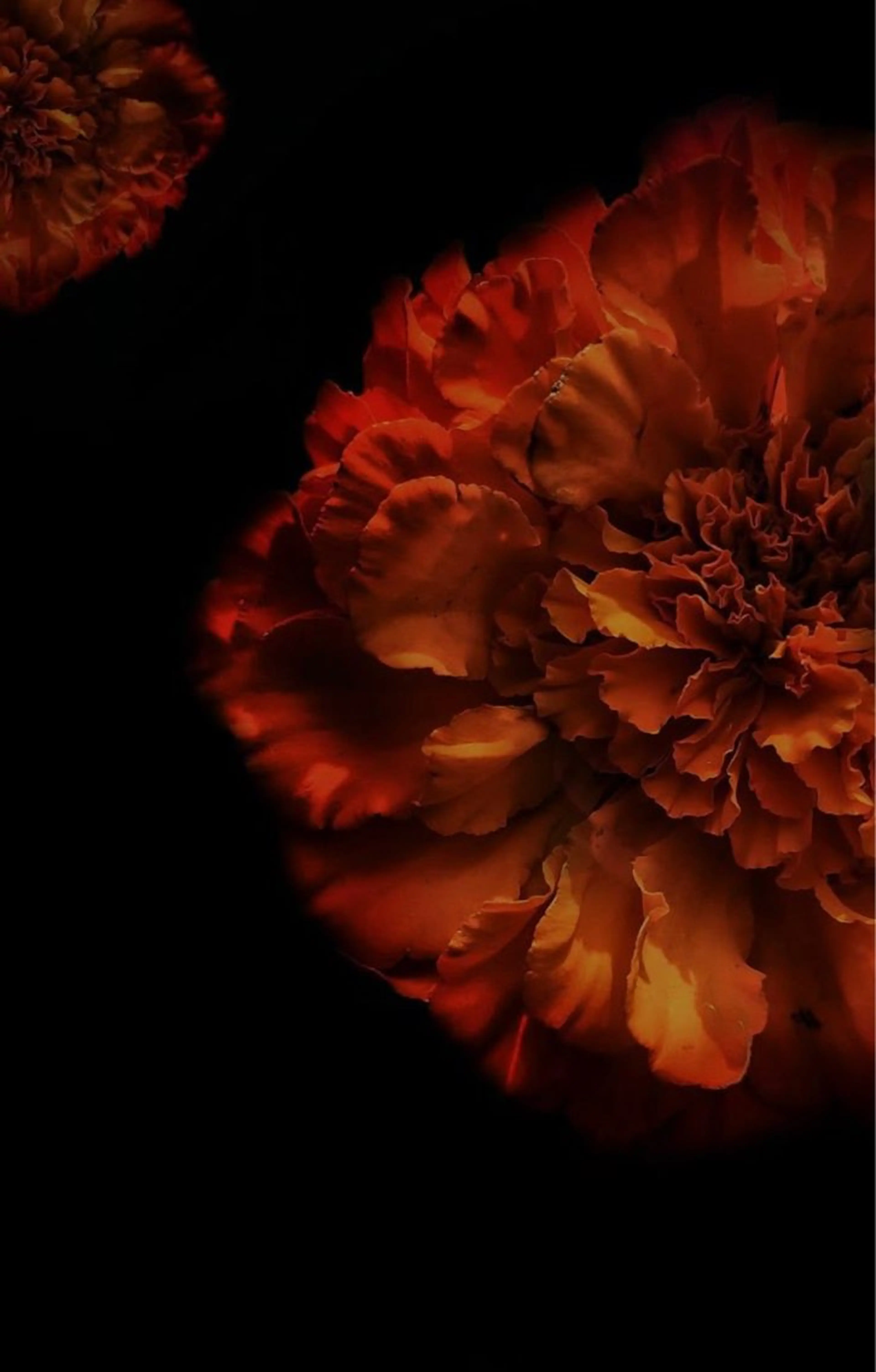 トリートメント ヘッドスパ ヘアセット 🖤:抜け感×大人 透明感カラー/Aoiのヘアスタイル