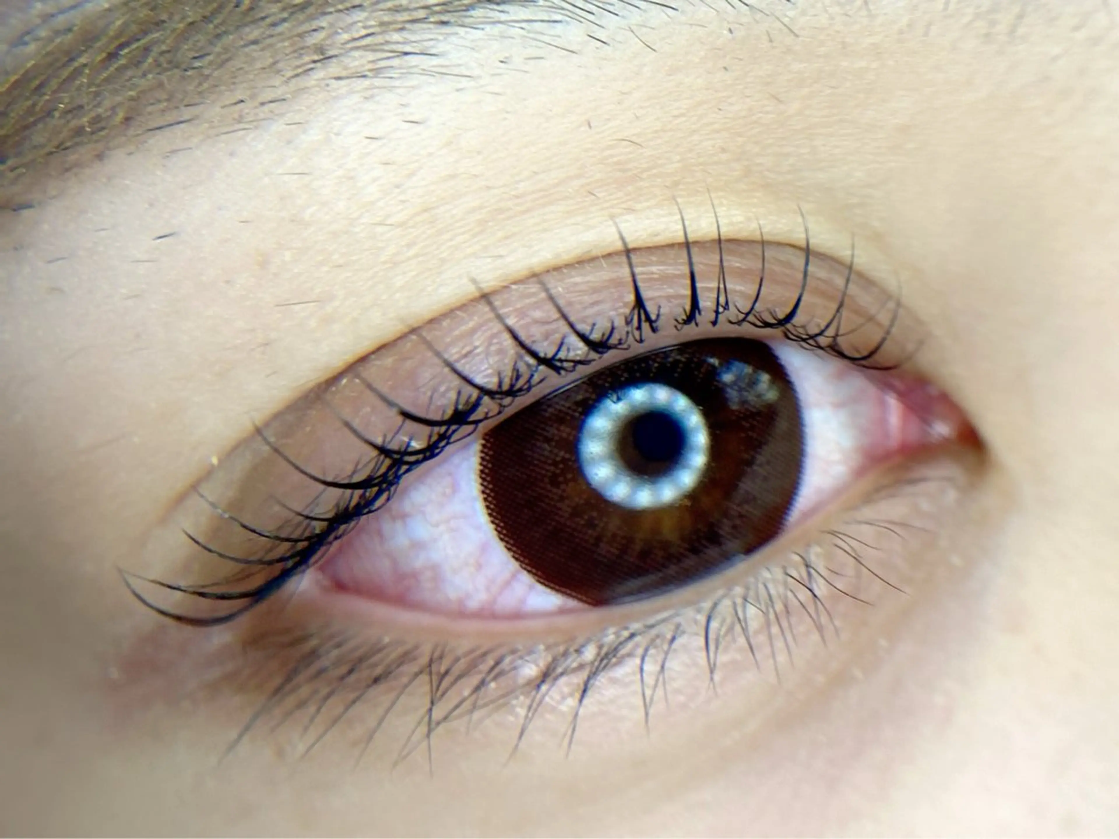 マツエク・マツパ マツパ tomte トムテのマツエク・マツパデザイン