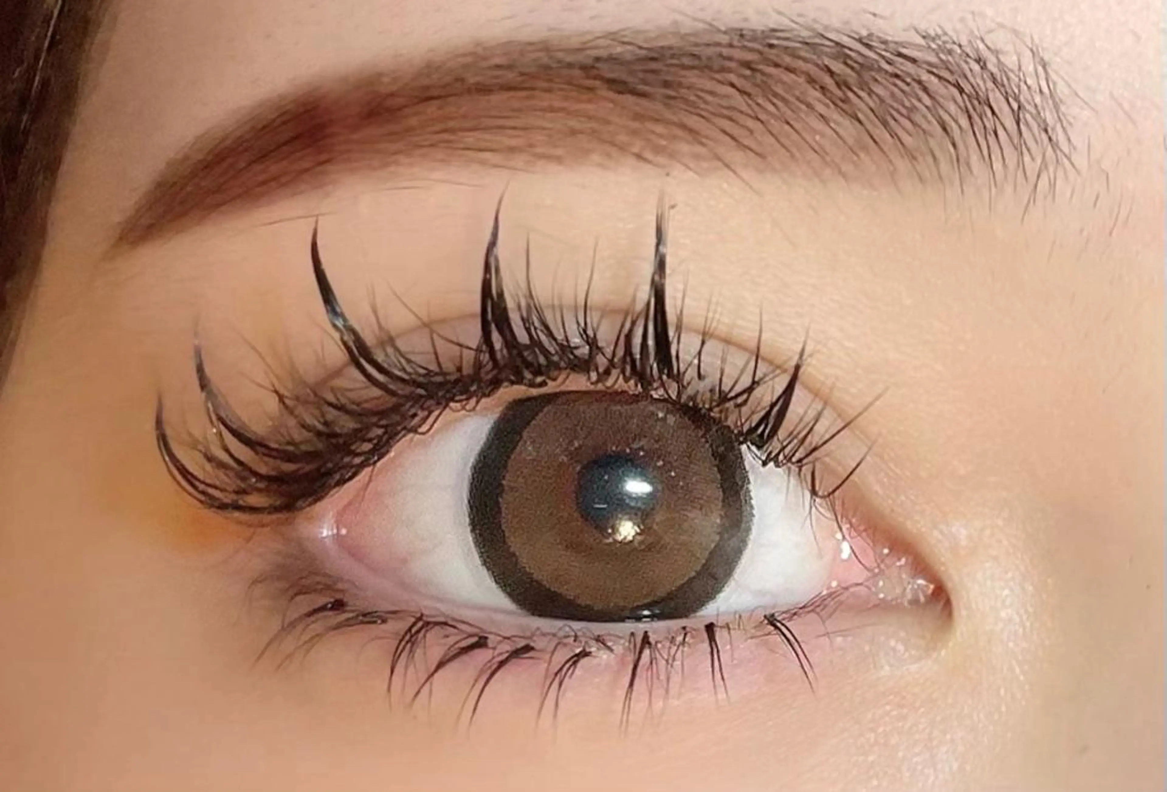 マツエク・マツパ 下まつげエクステ ワンホンマツエク マツエク HARIS店長🦋 Ishiguroのマツエク・マツパデザイン