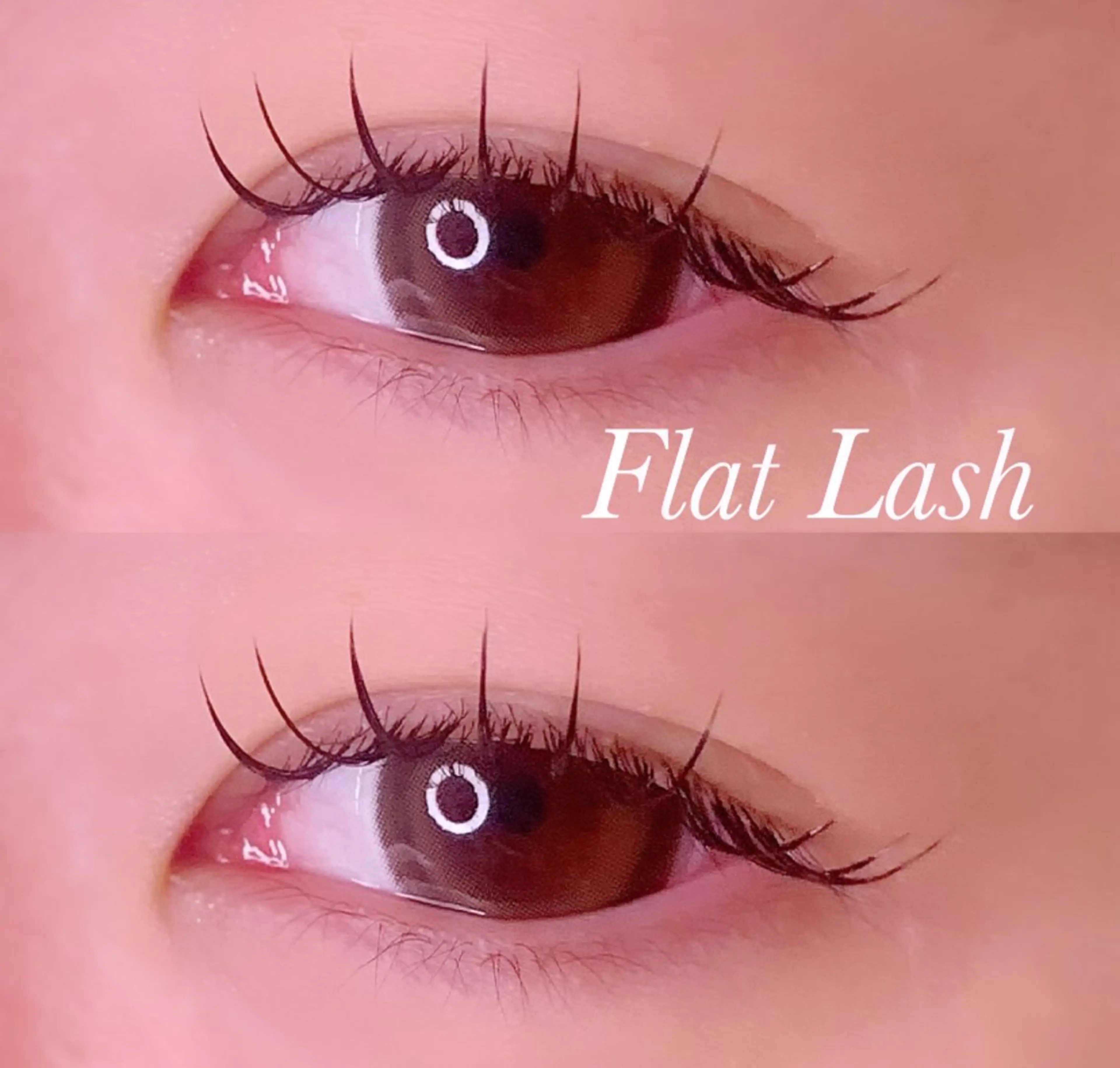 マツエク・マツパ Cカール フラットラッシュ マツエク Ayumi.pro 🍆N《4階》のマツエク・マツパデザイン