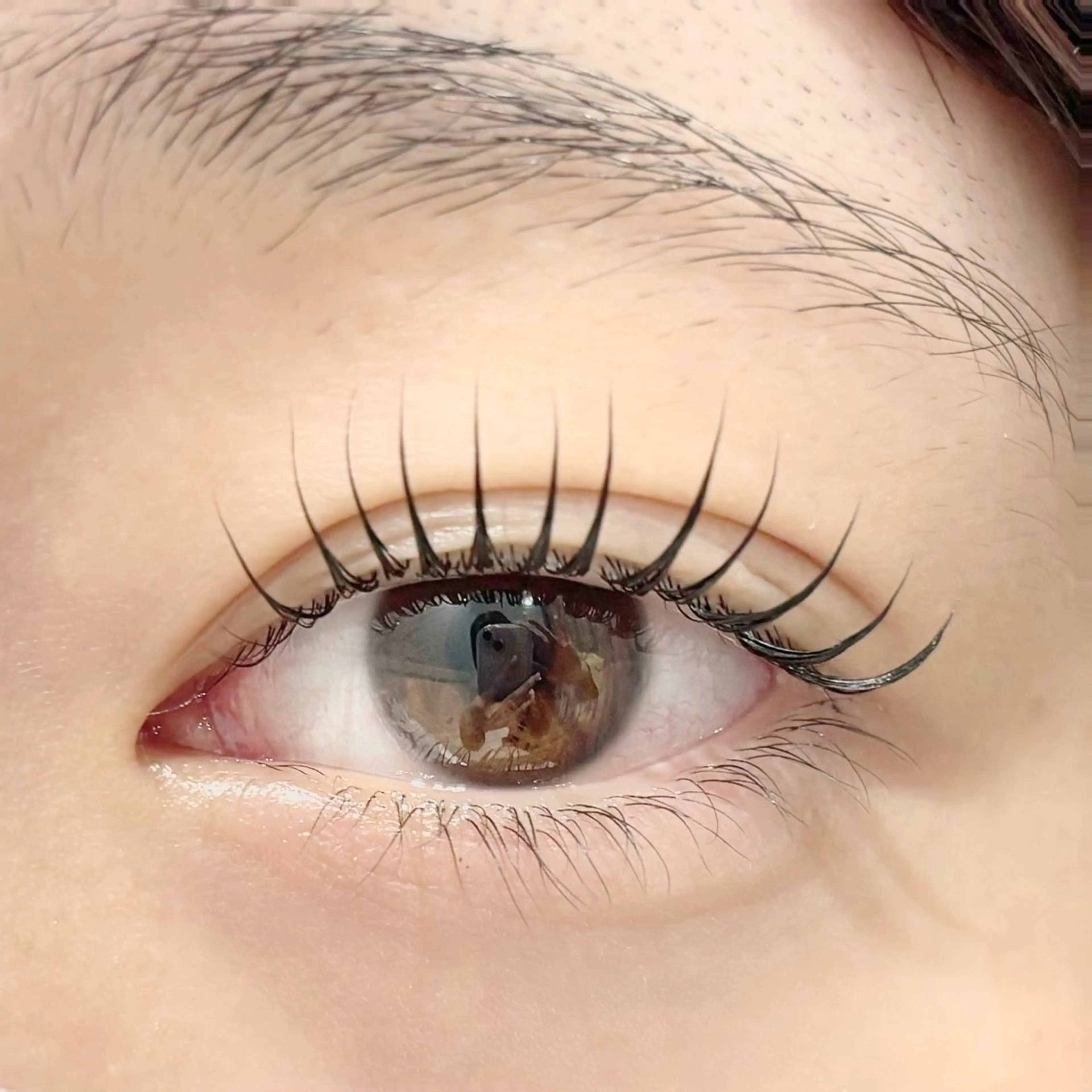 マツエク・マツパ 束感まつ毛 ナチュラル パリジェンヌラッシュリフト マツパ 🤍Lia Dejima🤍🪄のマツエク・マツパデザイン