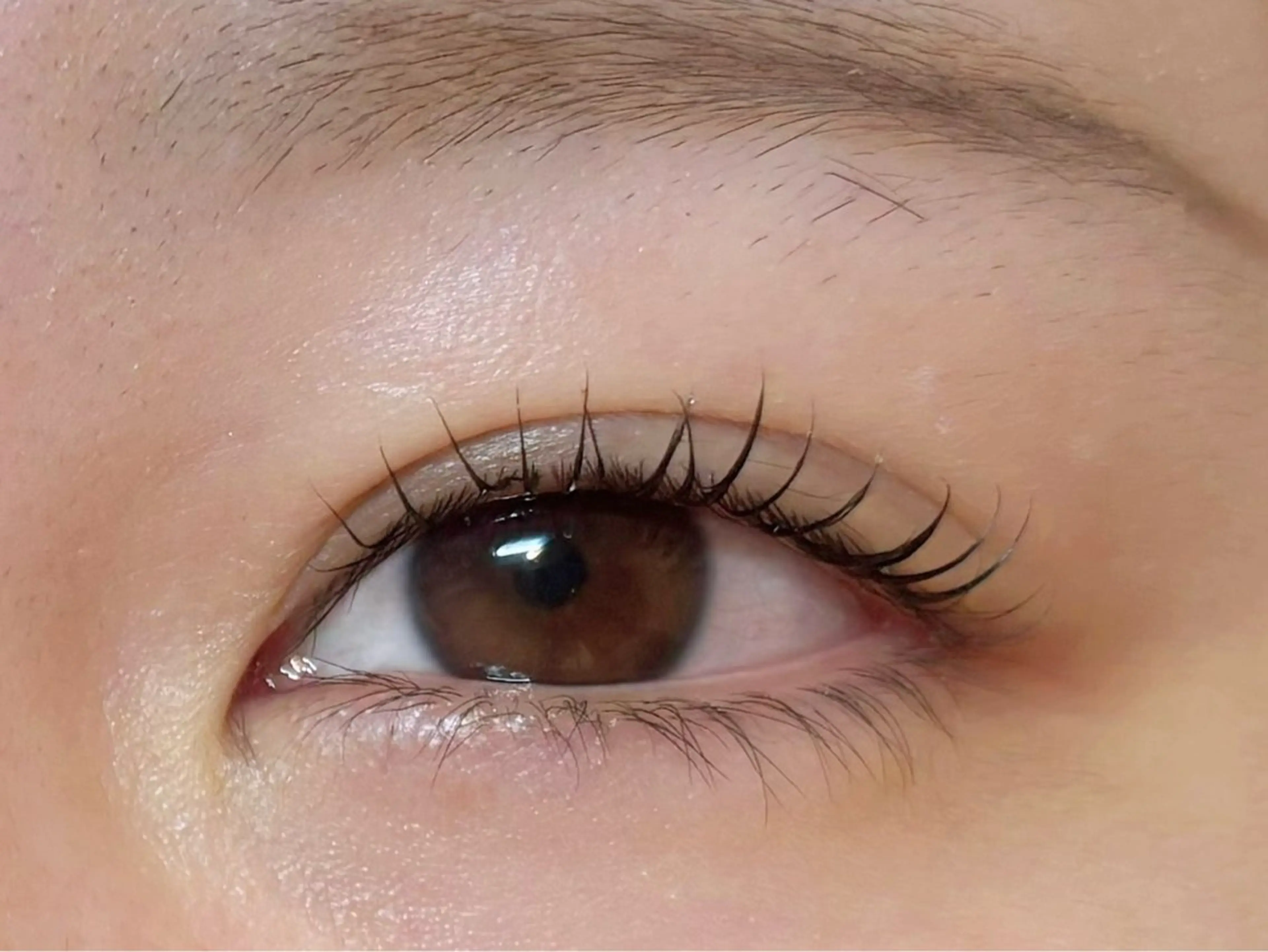 マツエク・マツパ Dカール マツパ 🤍Riina /国分寺🤍のマツエク・マツパデザイン