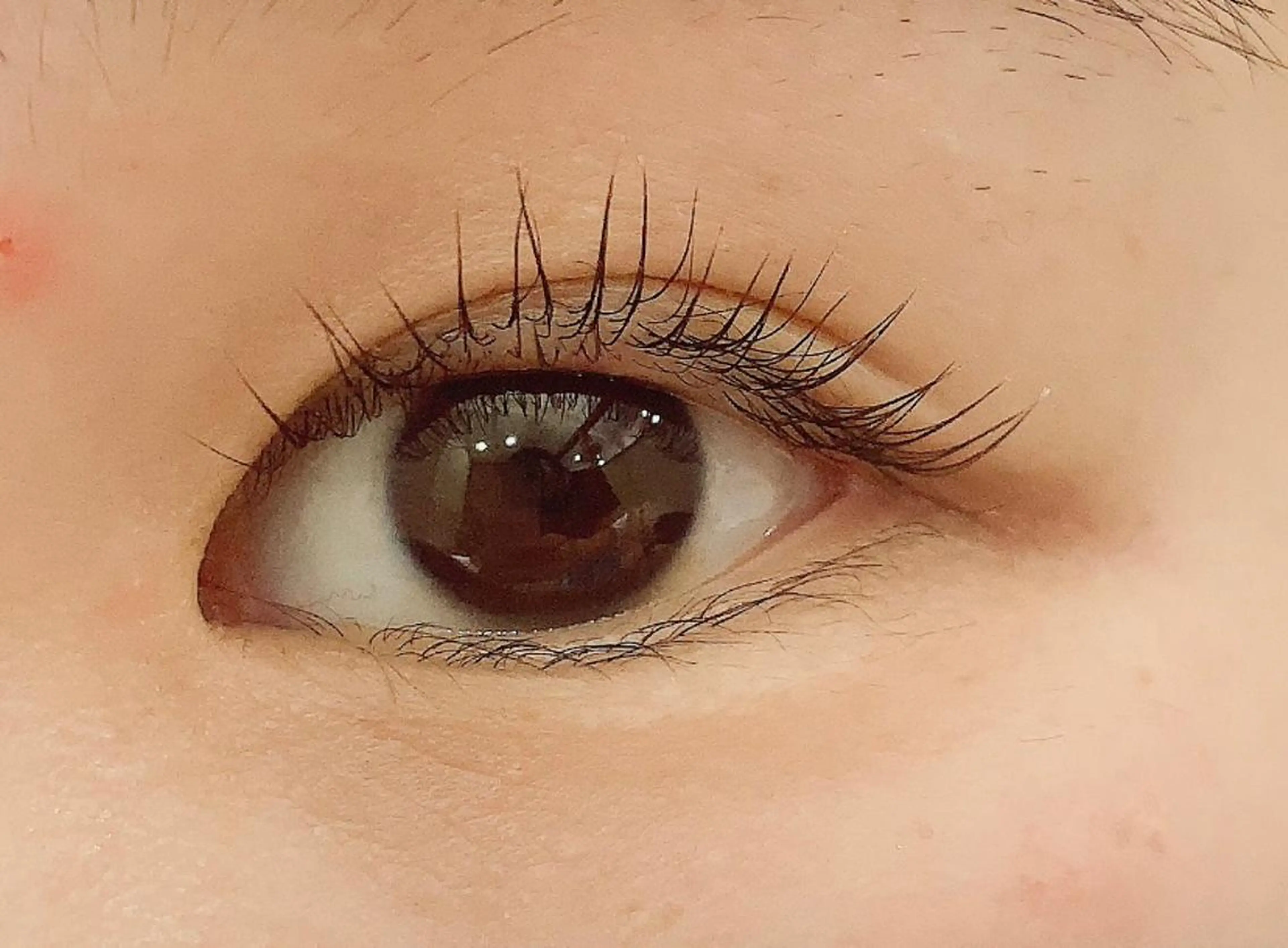 マツエク・マツパ Musee du Art ～ciel～所属・MuseeduArt juriのヘアスタイル