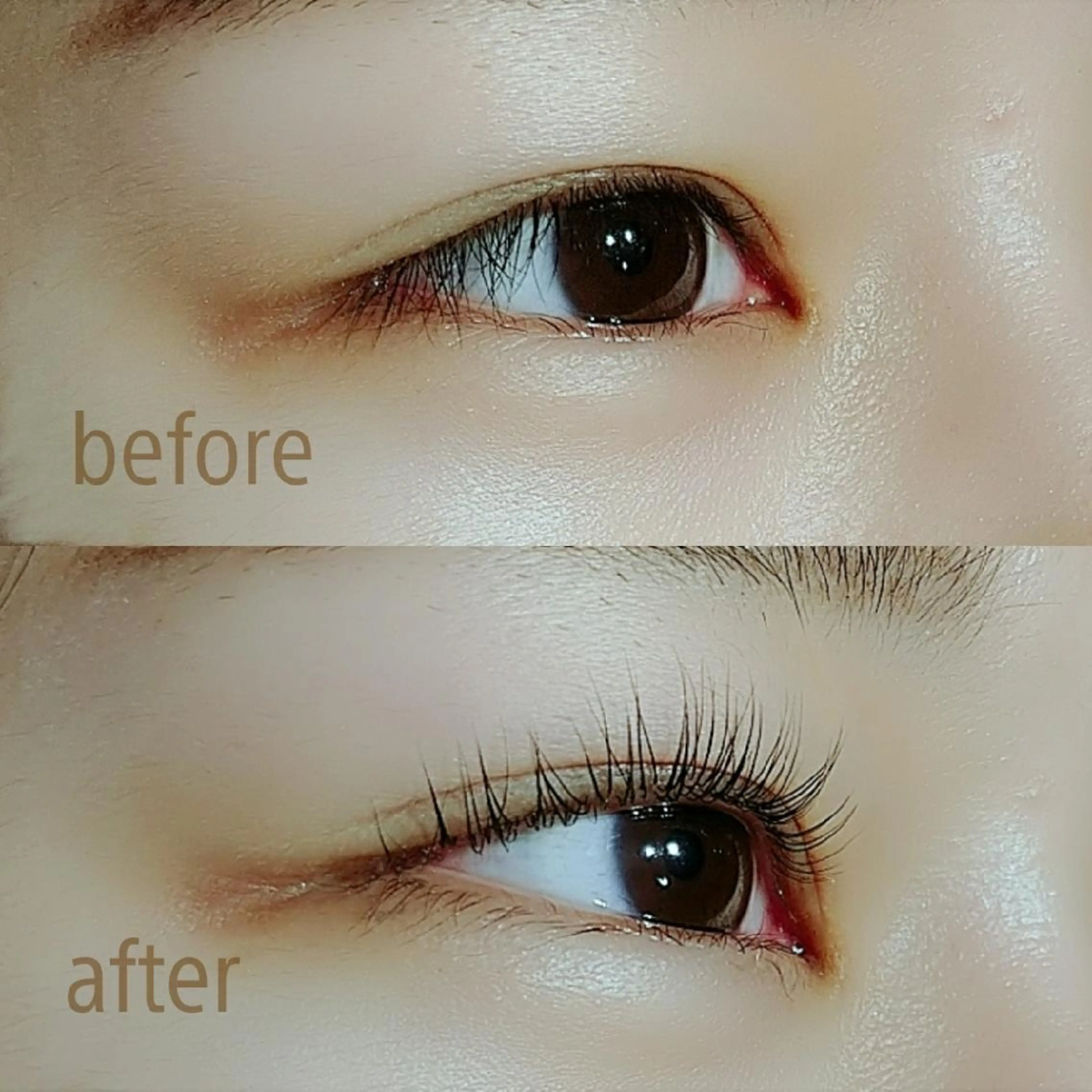 マツエク・マツパ Lereve 三宮店所属・Lereve .三宮店のエステ・リラクイメージ