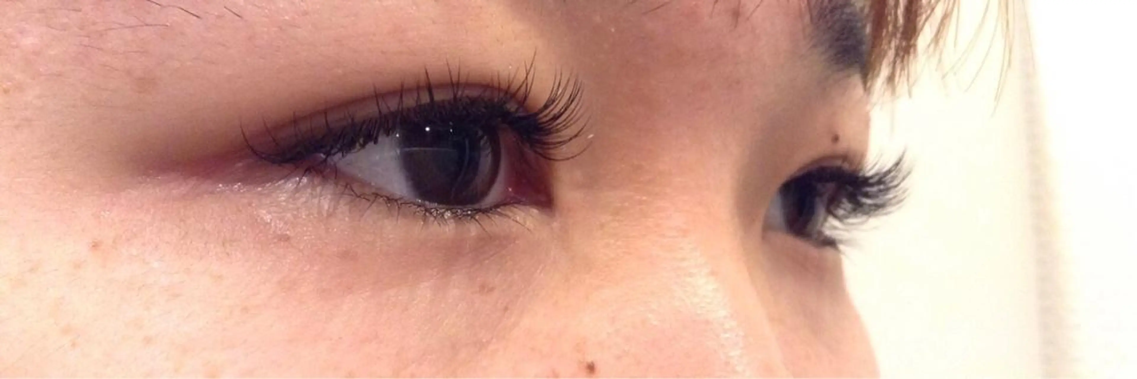 マツエク・マツパ Cカール キュート セーブル m+eyelash 🩵南森町駅1分🚉のマツエク・マツパデザイン