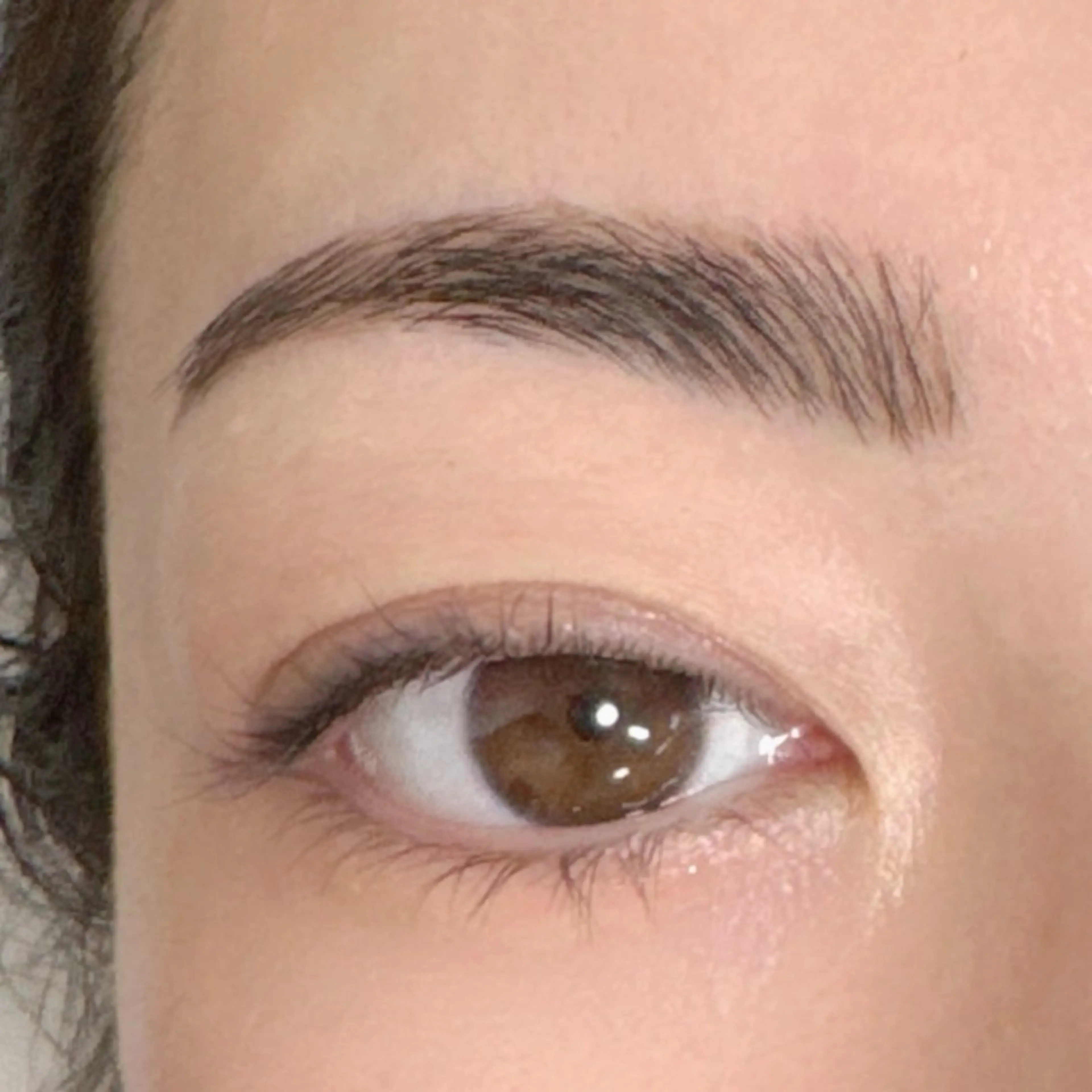 アイブロウ 眉毛ワックス脱毛 Li-Fra YOKOのマツエク・マツパデザイン