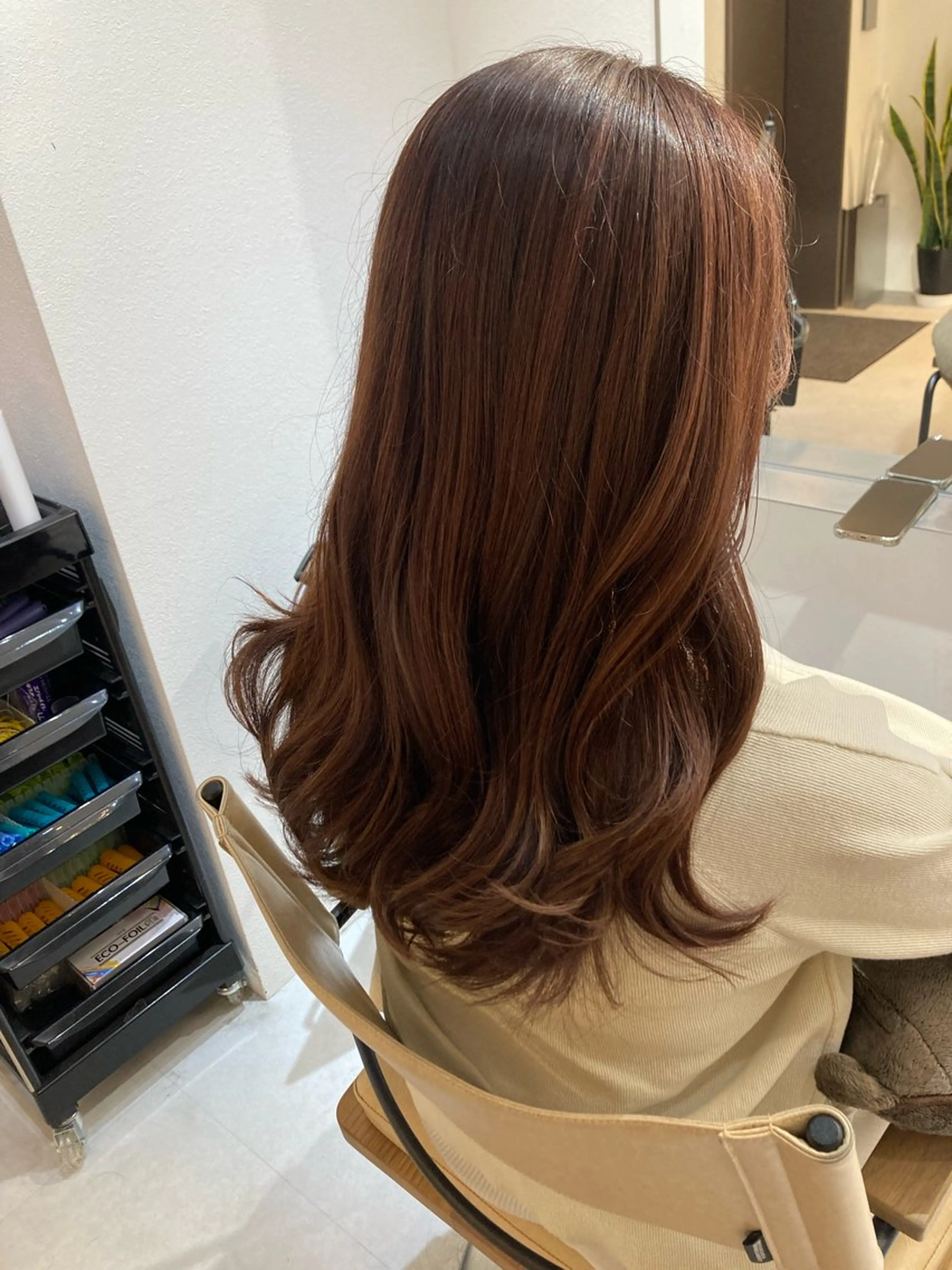 セミロング ✨色持ちの良い艶 カラー✨蟹江真世のヘアスタイル