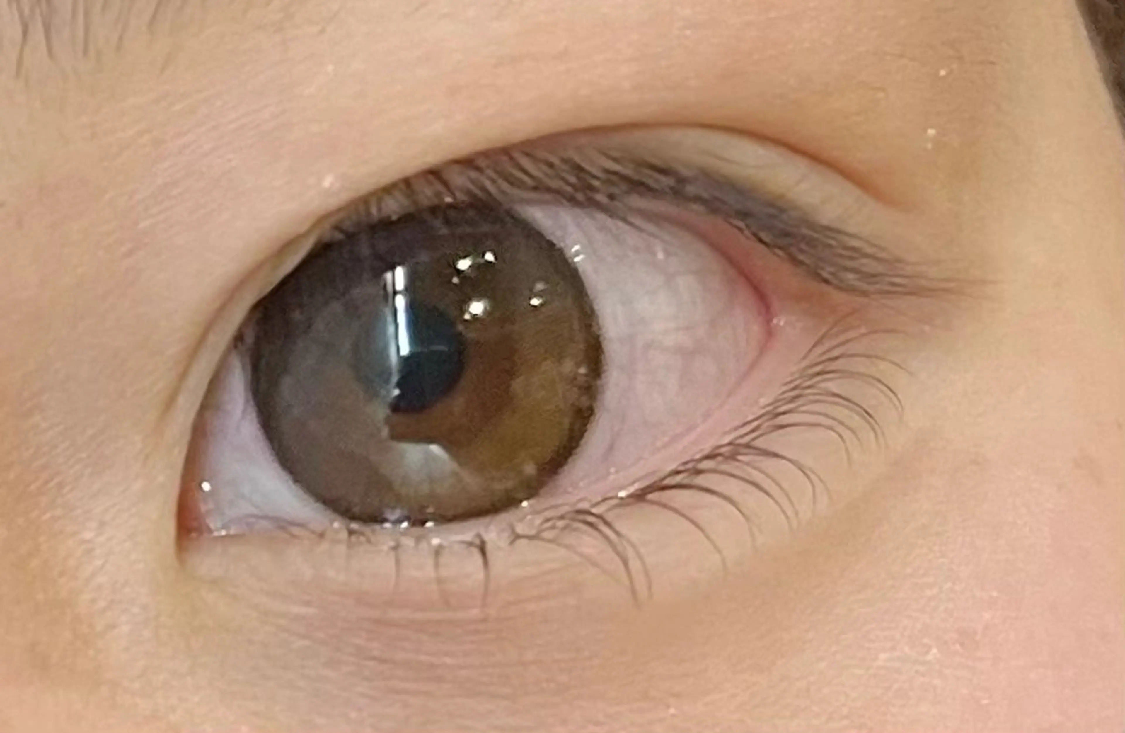 【全員】🍓下まつ毛パーマ🍓の写真