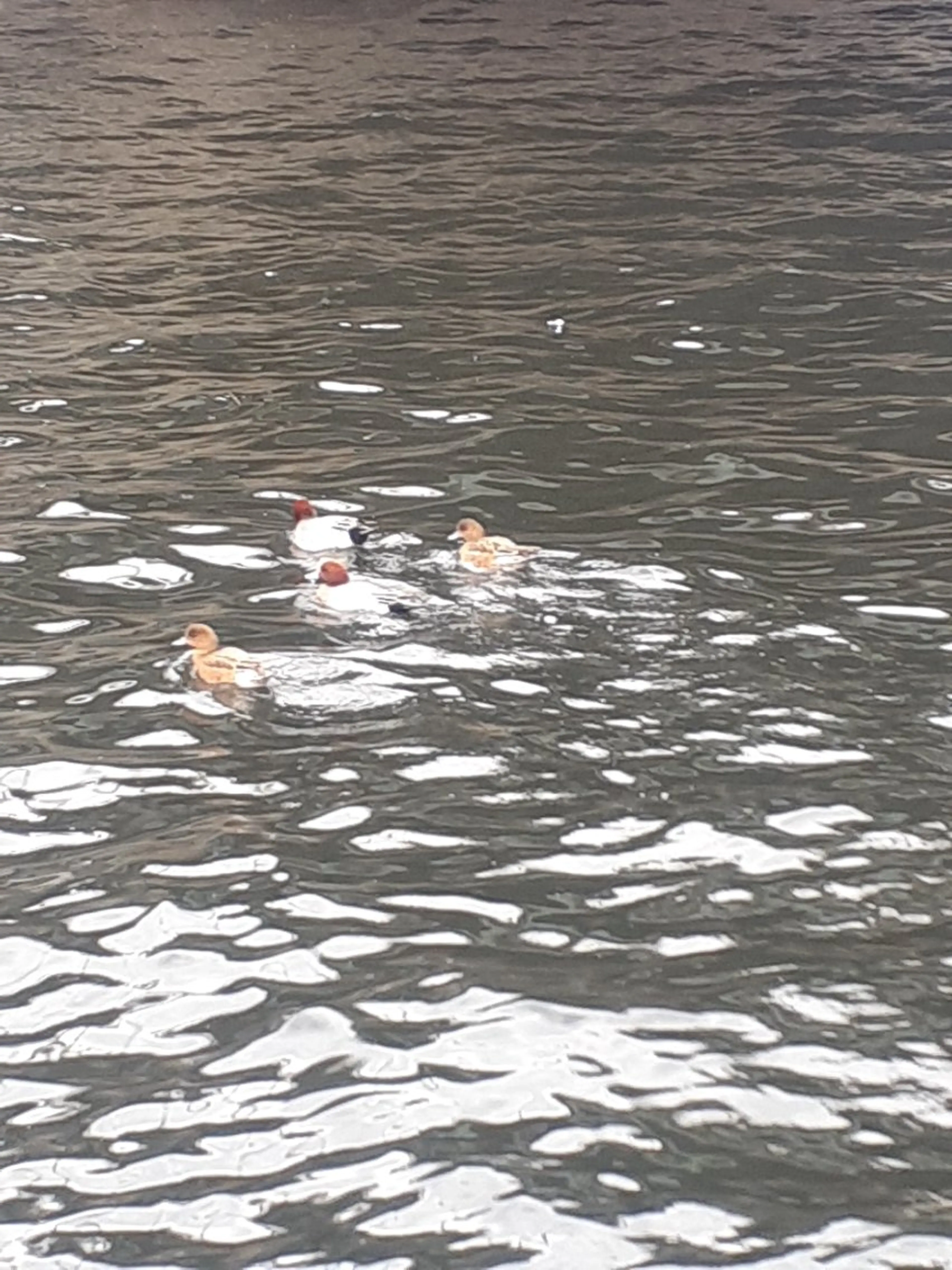 千の樹所属・久保 美咲(女性専用)のエステ・リラクイメージ