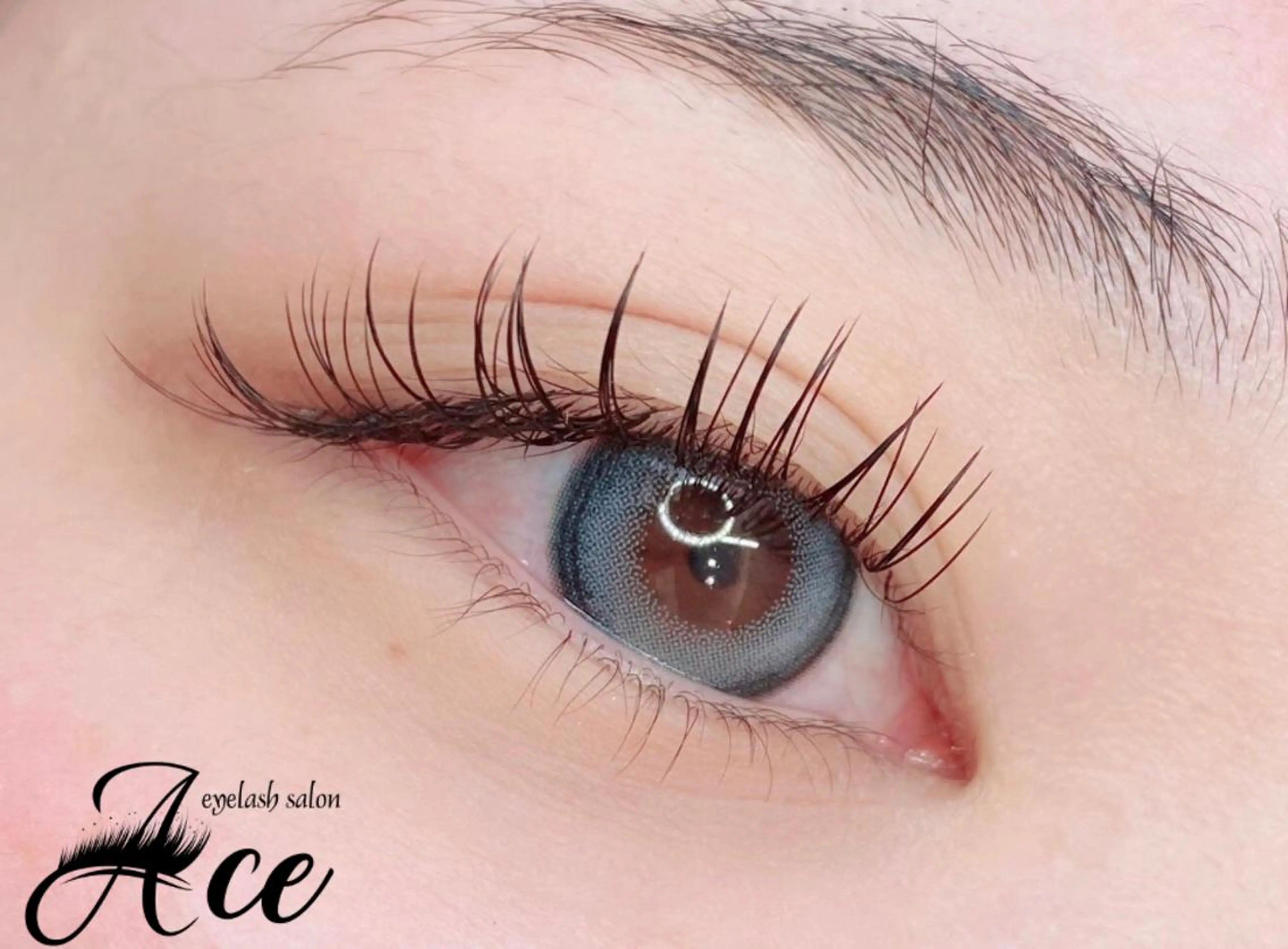 【⭐️🎀期間限定🎀⭐️】フラットラッシュ 100〜120本 ￥5,980[銀座・東銀座]の写真