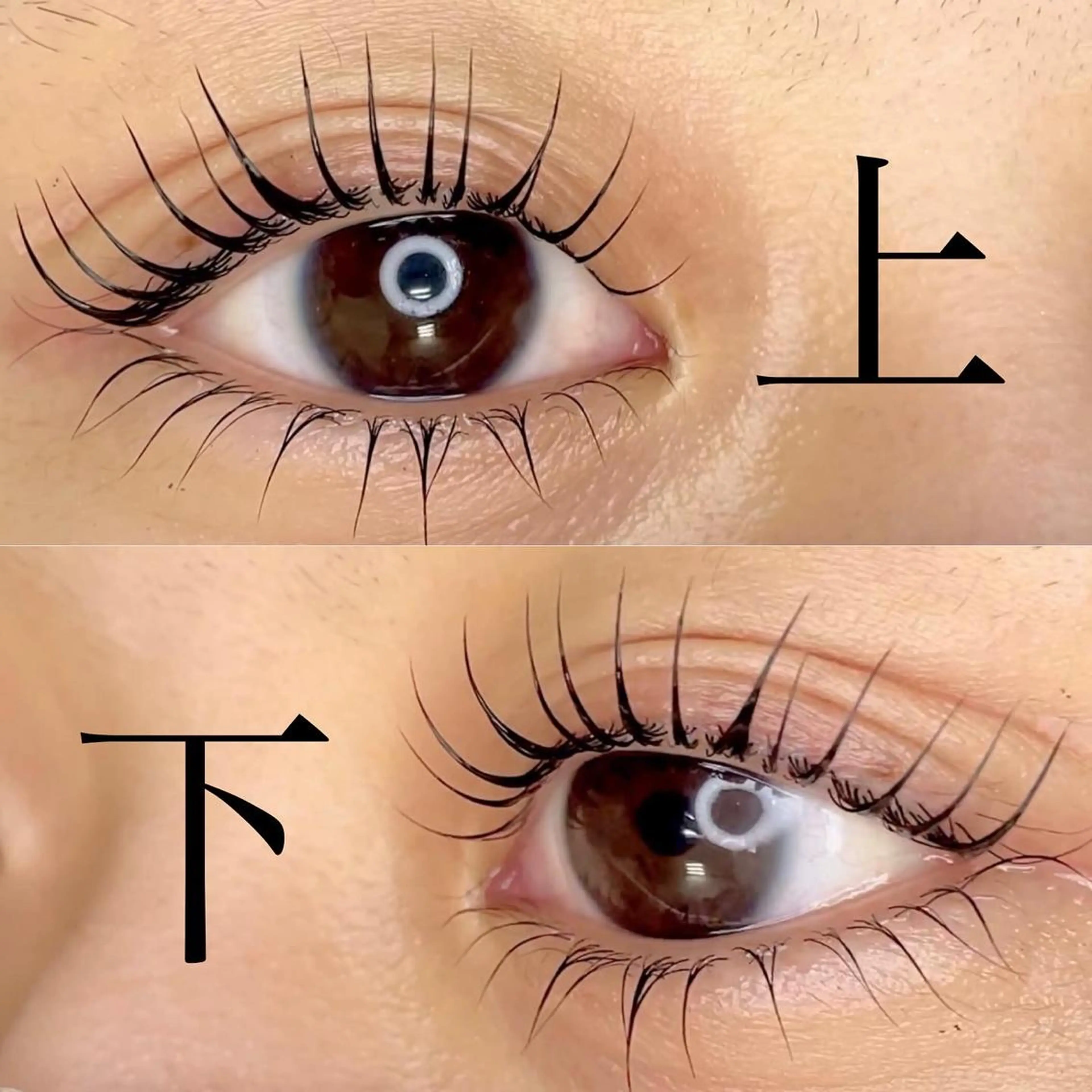 マツエク・マツパ ナチュラル パリジェンヌラッシュリフト まつげパーマ 下まつげエクステ 一重×まつ毛パーマ マツパ エターナル所属・まつ毛達人/眉毛講師 KEONIのマツエク・マツパデザイン