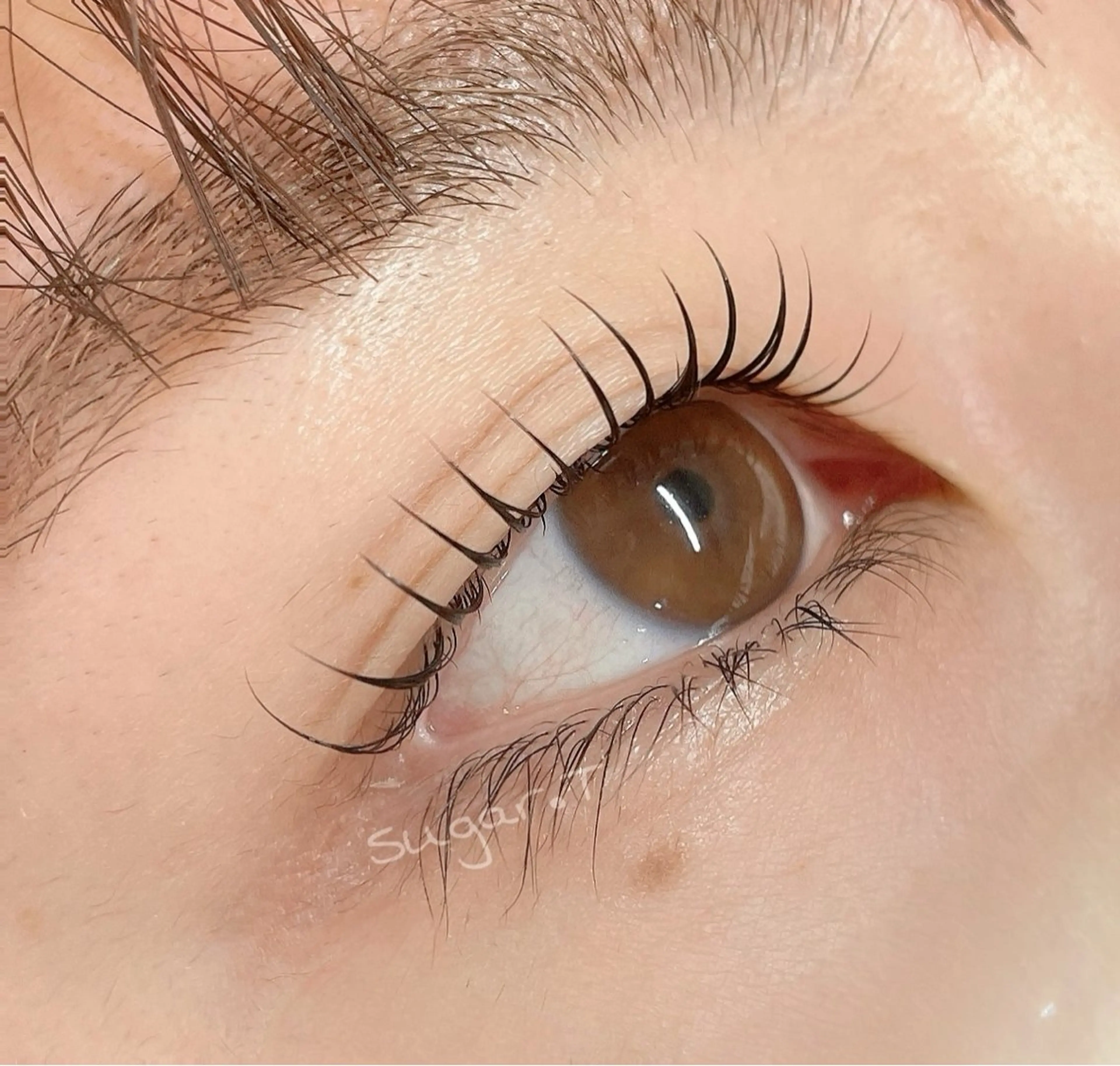 マツエク・マツパ 一重×まつ毛パーマ sugar ただのマツエク・マツパデザイン