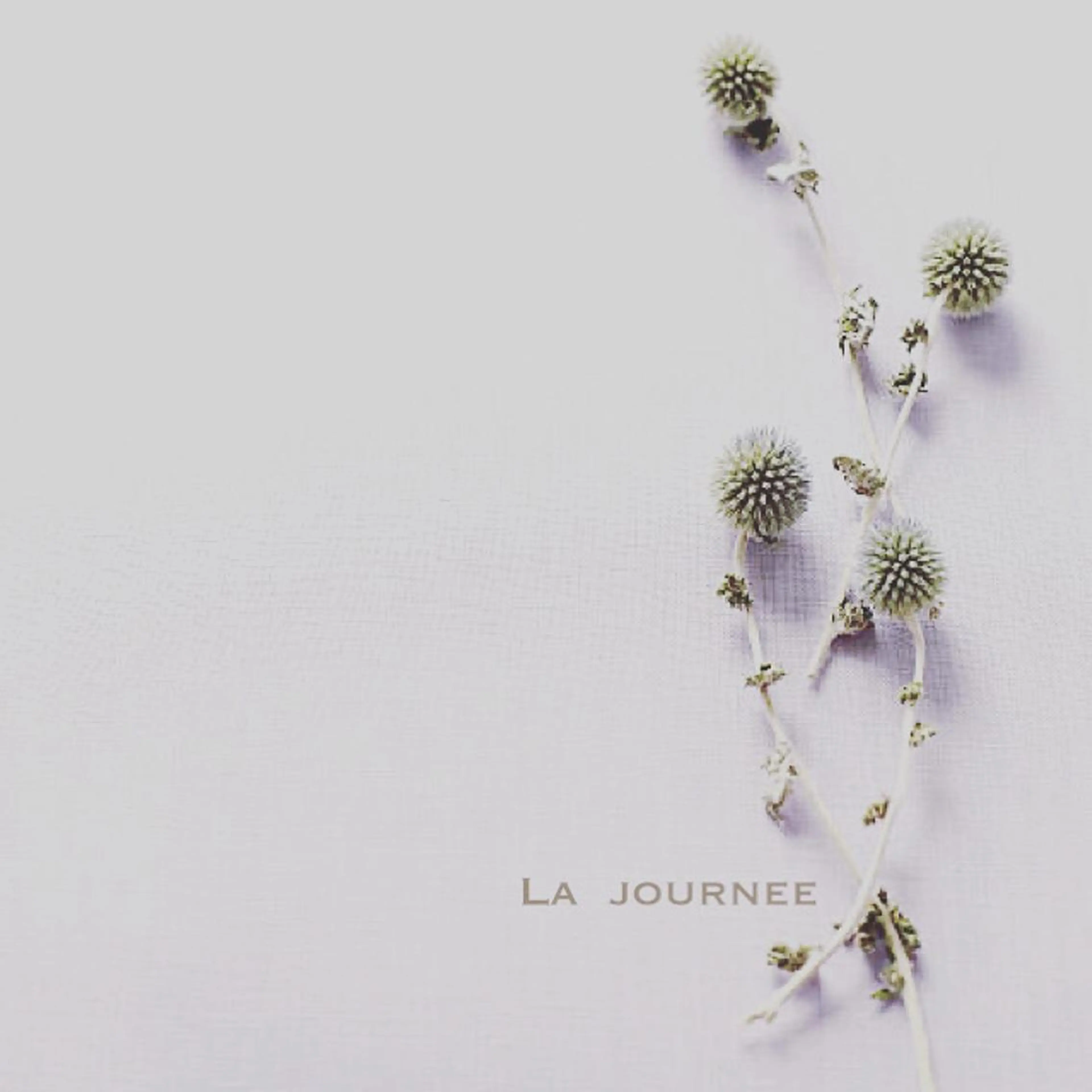 マツエク・マツパ ラジュルネ nail & eyeのマツエク・マツパデザイン