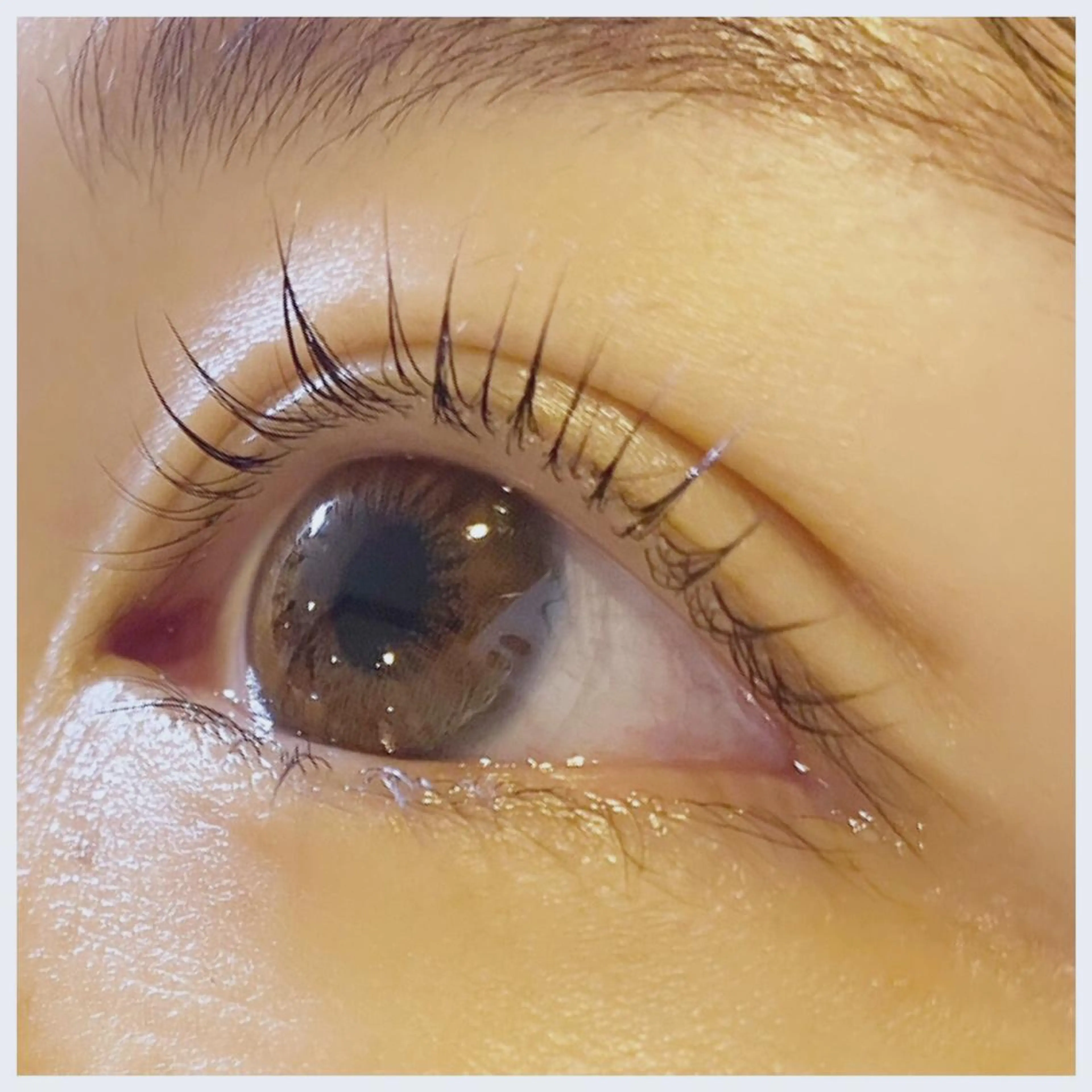 マツエク・マツパ Petitmaison所属・Petit maisonのネイルデザイン