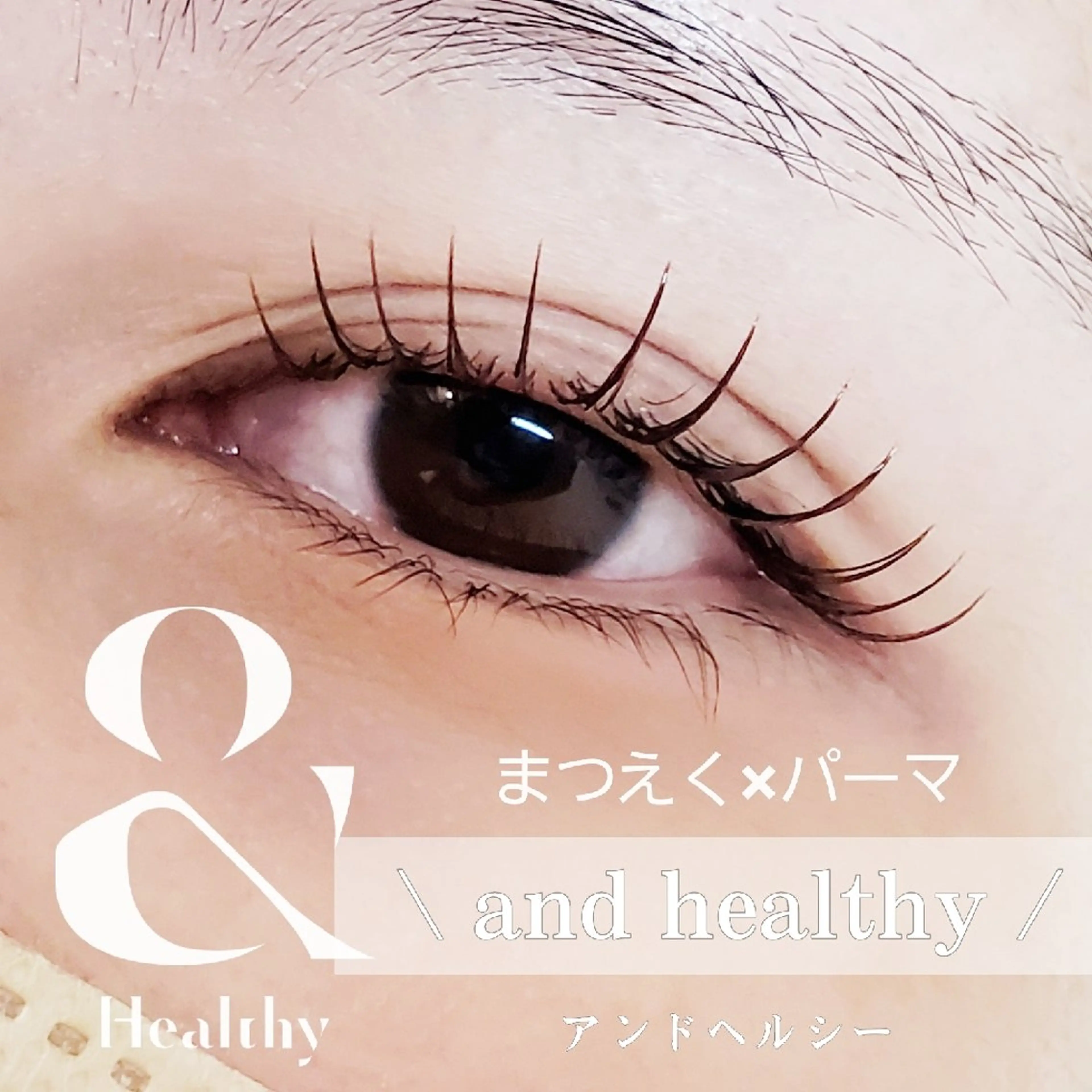 アンドヘルシー80本(カラー変更可⭕)の写真