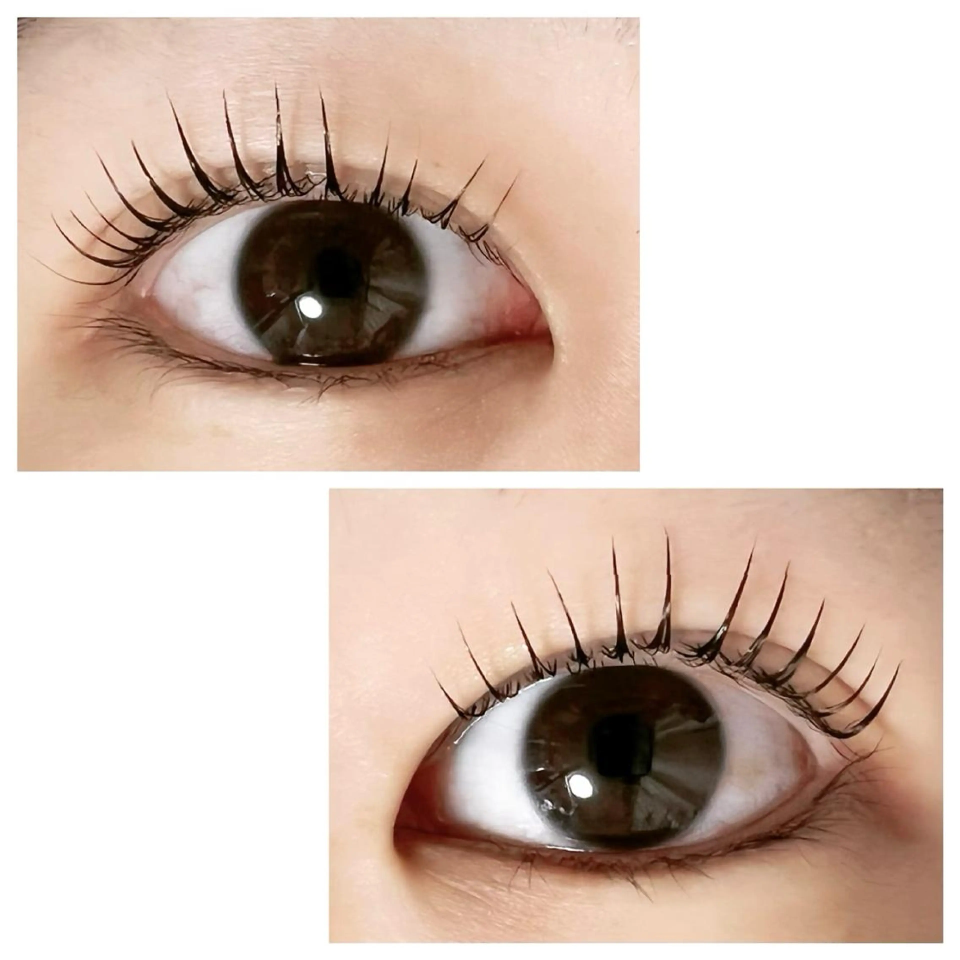 マツエク・マツパ Adorer(アドレ)所属・Adorer 🍀アドレ🍀のマツエク・マツパデザイン