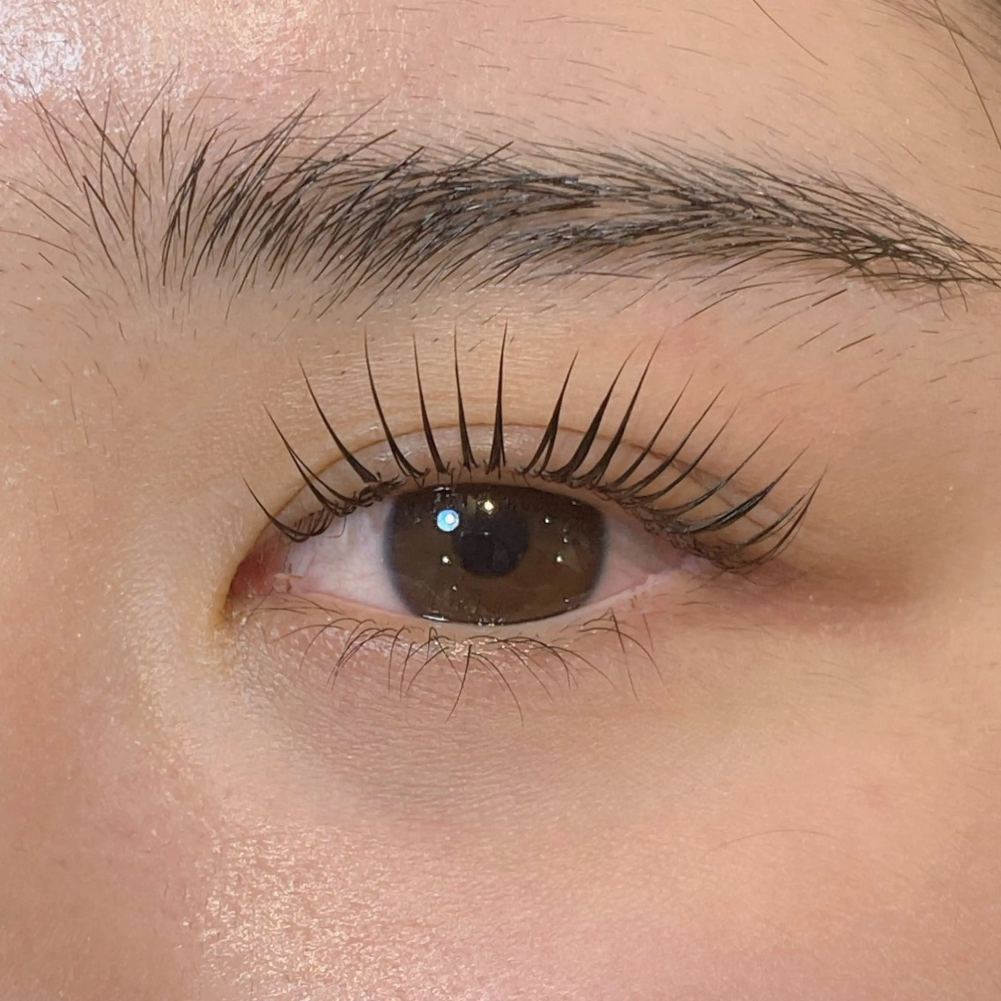 マツエク・マツパ マツパ WAVY藤沢店 🥥megumiのマツエク・マツパデザイン