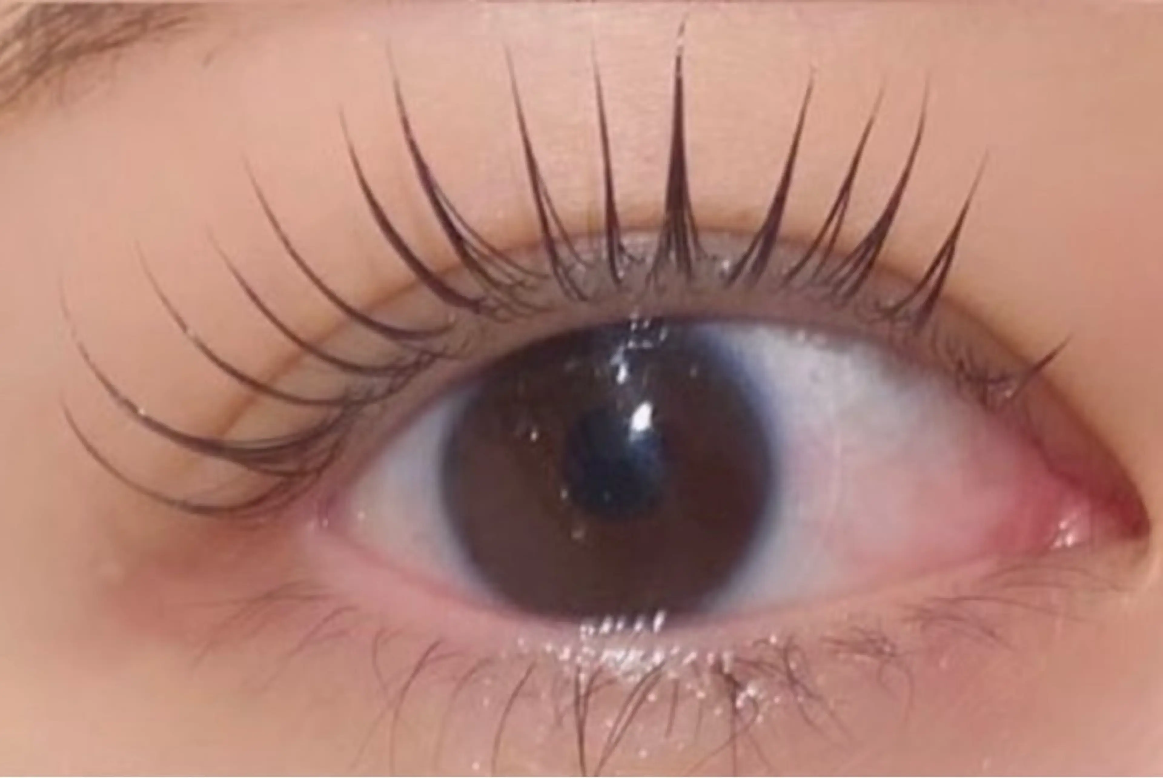 マツエク・マツパ マツエク ho hoのマツエク・マツパデザイン