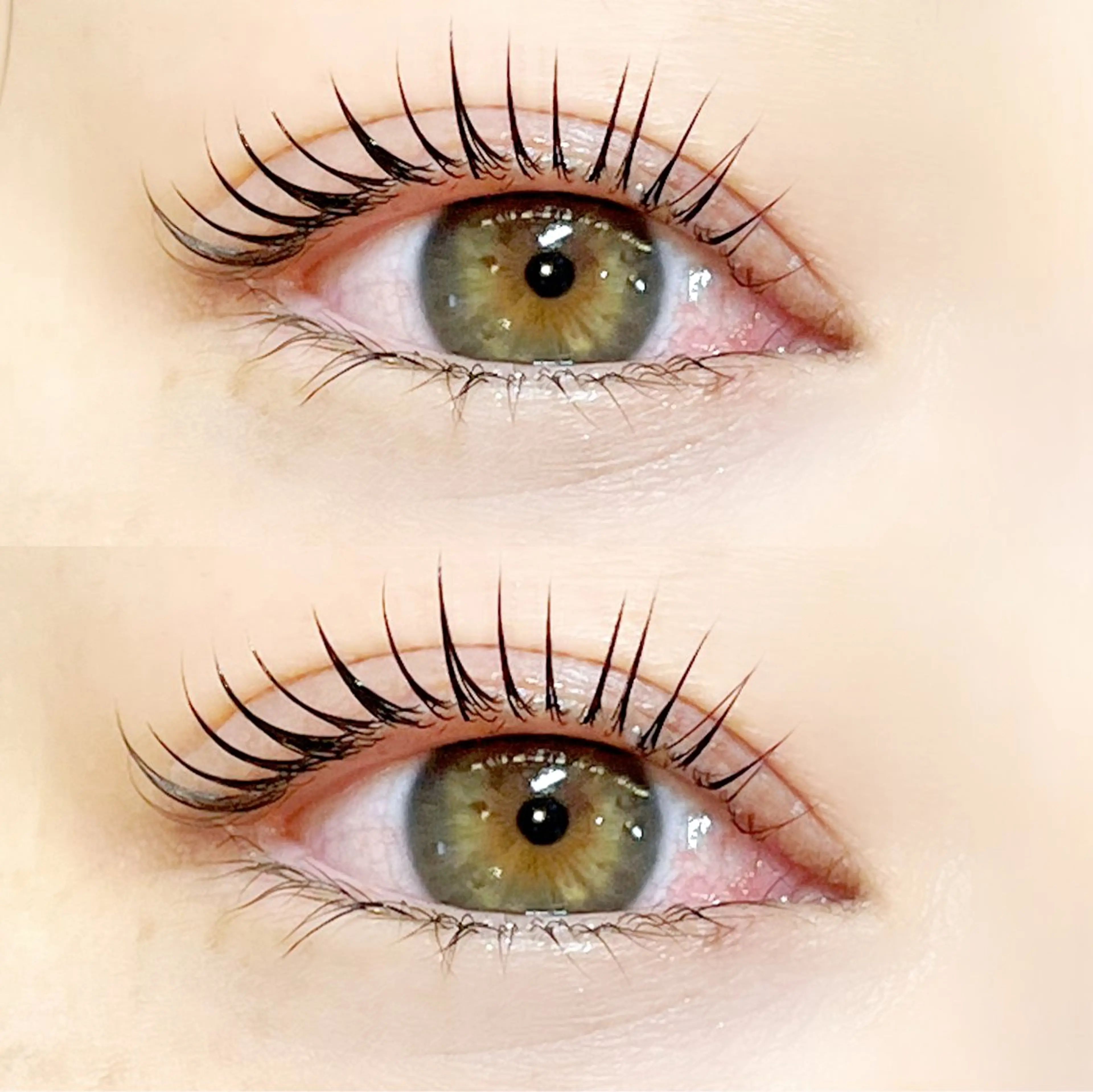 ［🐚パリジェンヌorまつ毛パーマ🐚］＋［🩵美眉アイブロウWAX🩵］の写真