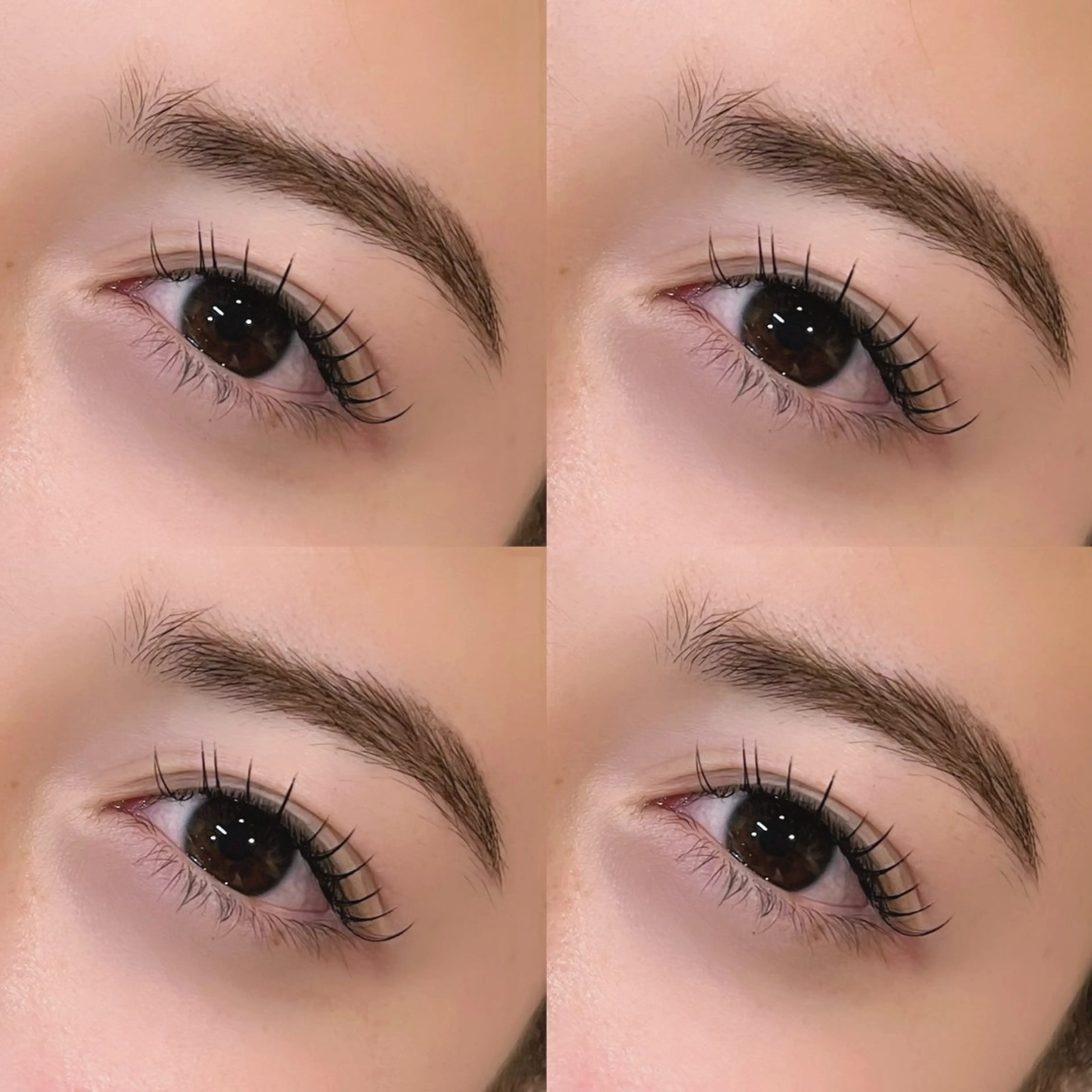 マツエク・マツパ sofa 🛋⸝⸝ urushibaraのマツエク・マツパデザイン