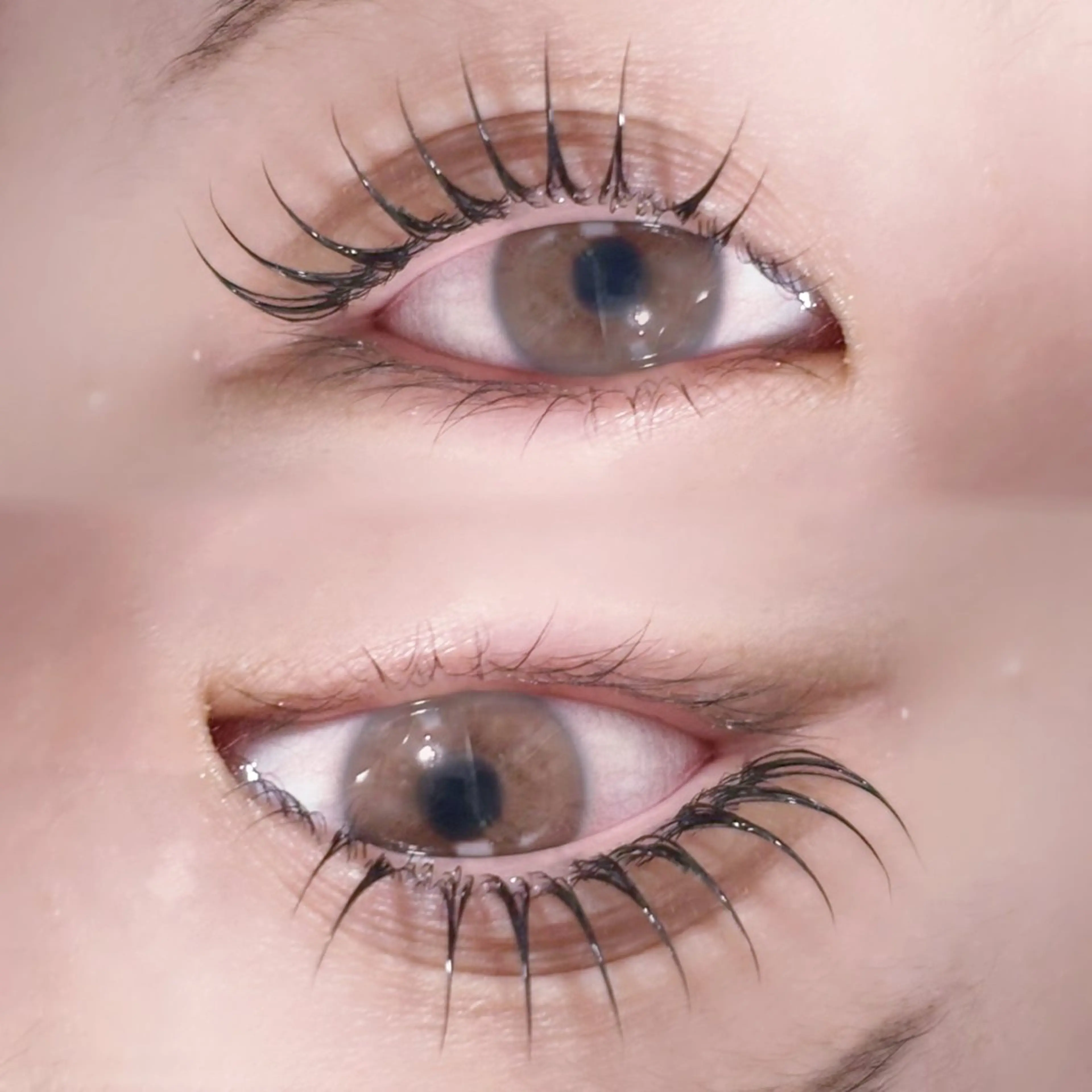 マツエク・マツパ マツパ マリーテレジア ogataの眉毛・アイブロウイメージ