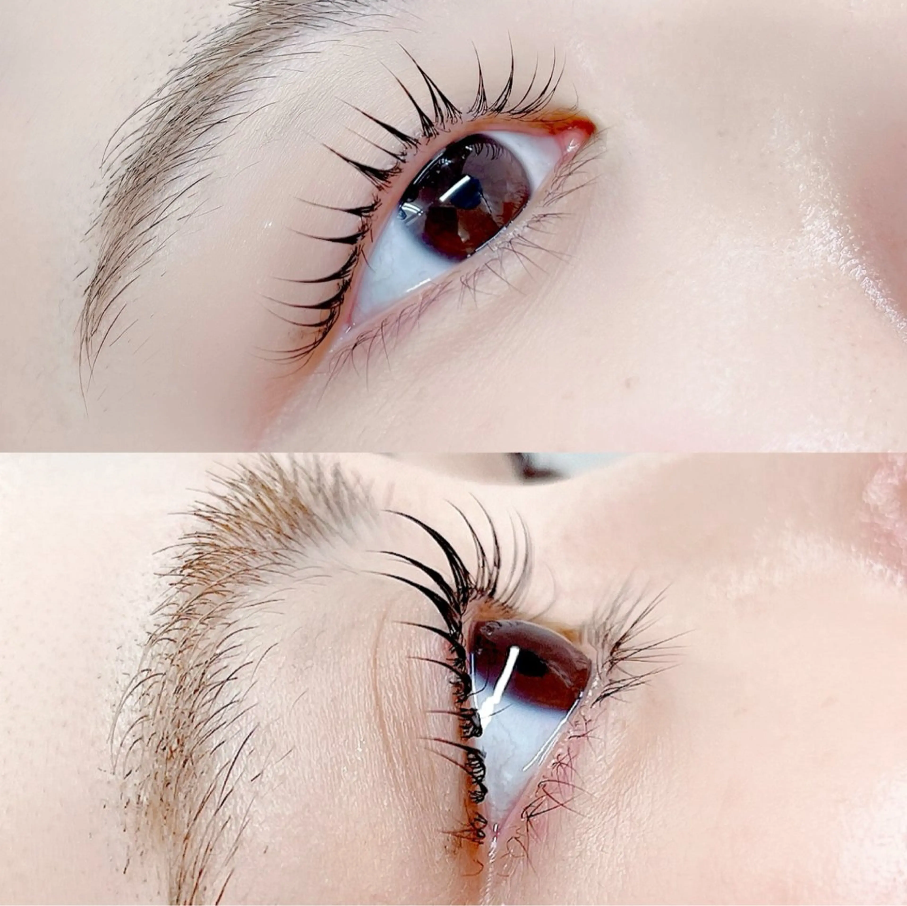 ✨🕊️まつげパーマ（パリジェンヌ可）🕊️✨束感コーティング付き♡の写真