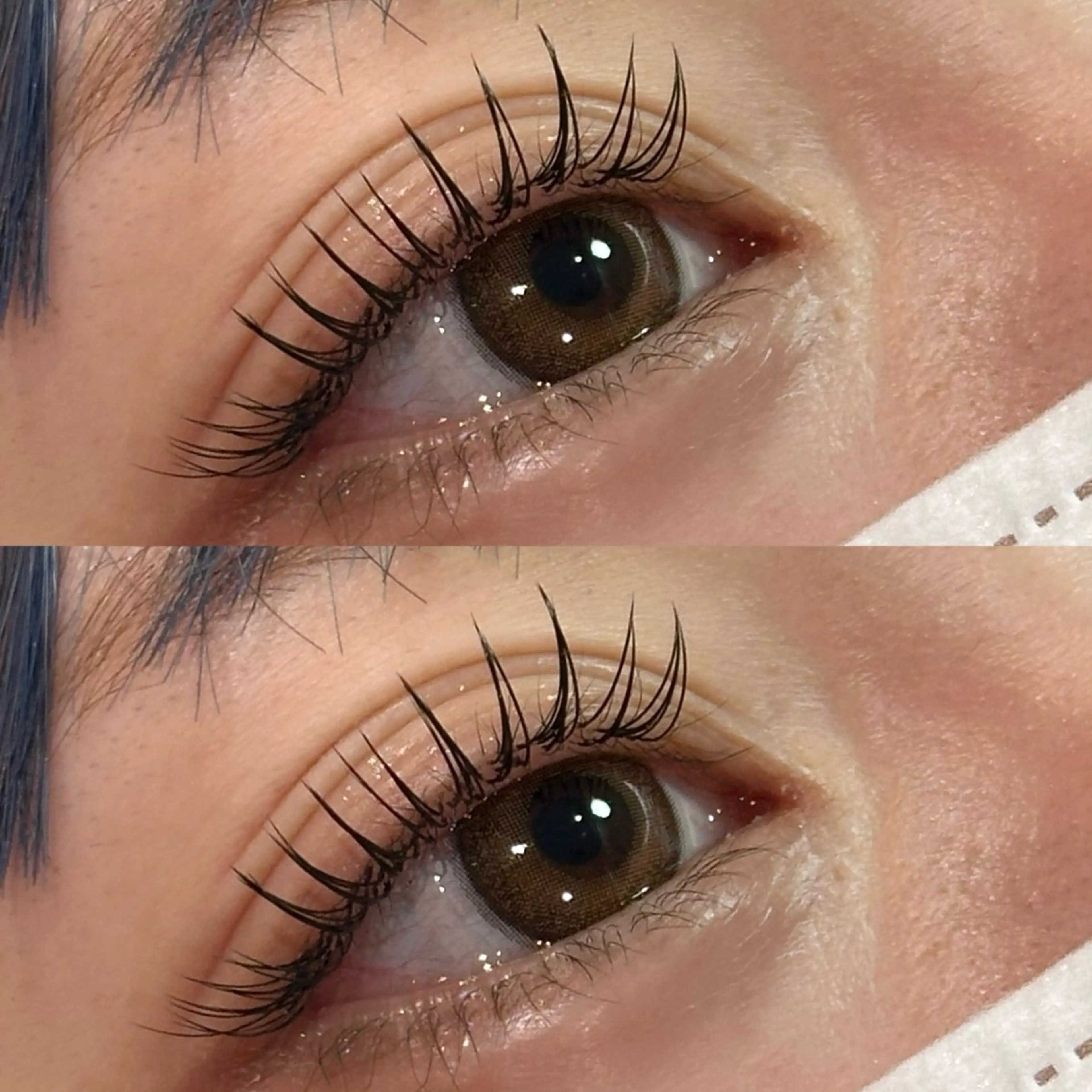 マツエク・マツパ フラットラッシュ Mizuki🦋 Pinklagoonのマツエク・マツパデザイン