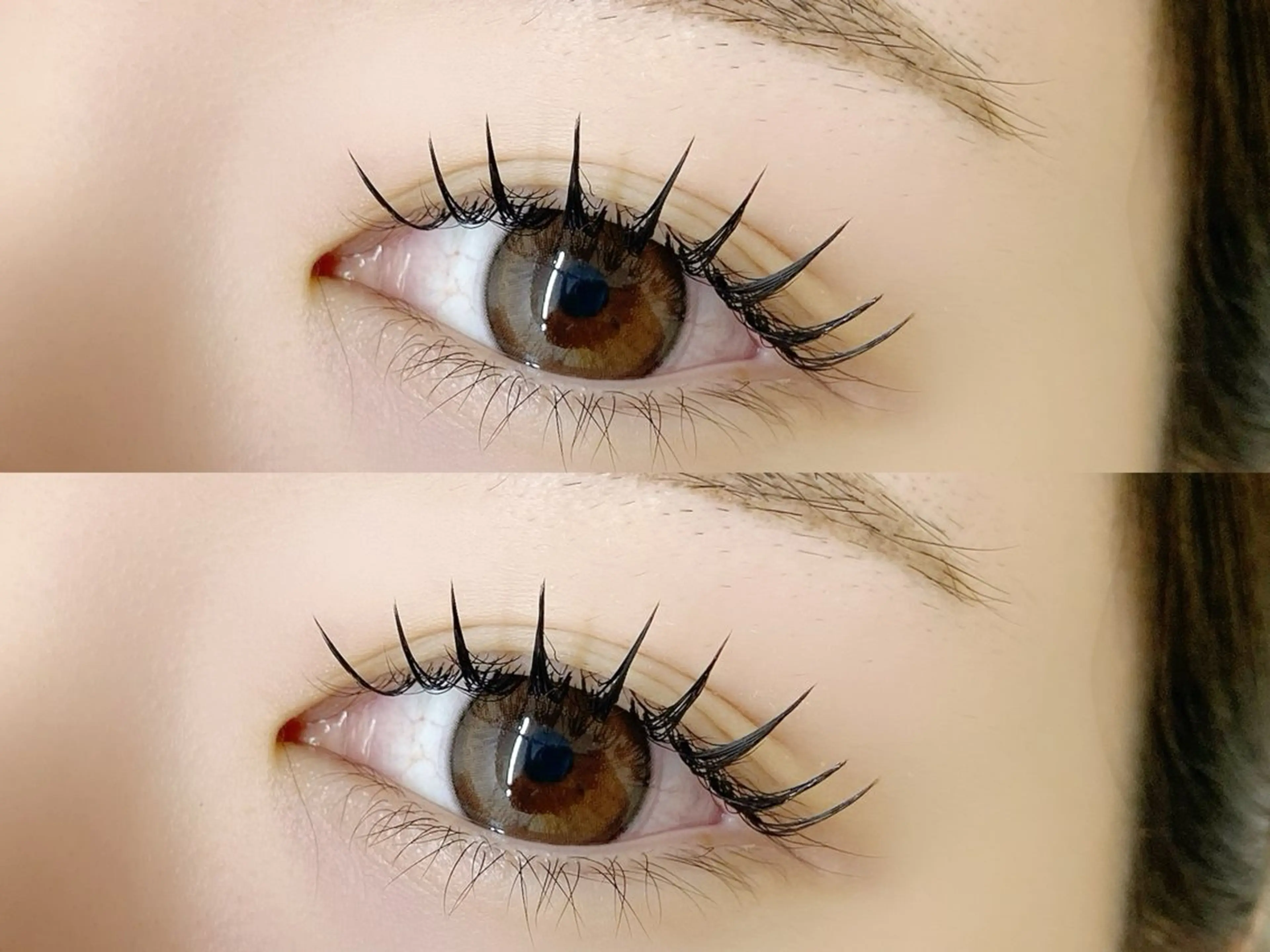 【立ち上げ×高持続×濃さ】今、SNSで話題の"Ｌカール"ダブルフラット80束の写真