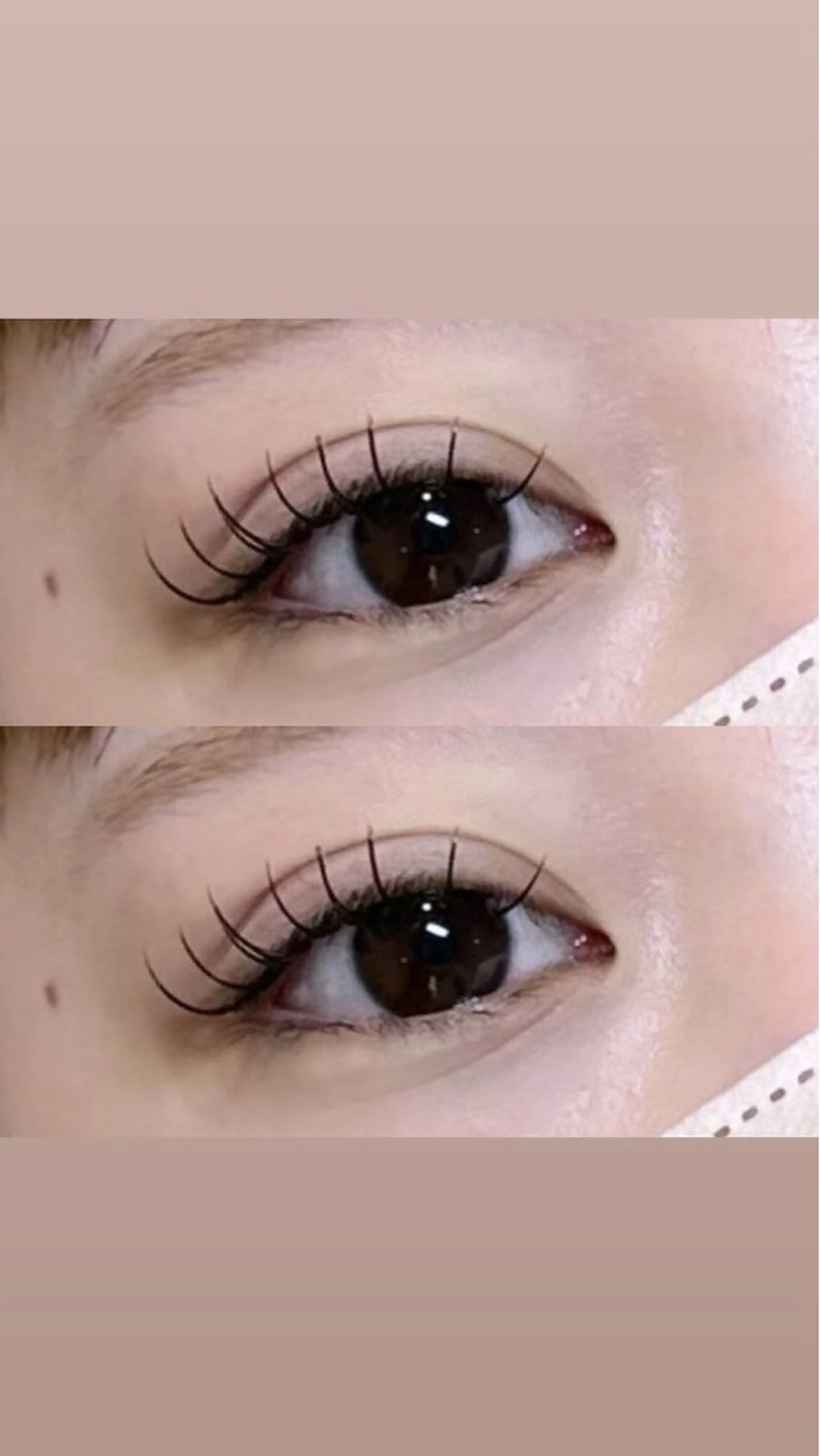 マツエク・マツパ マツエク KOHARU 🐾の眉毛・アイブロウイメージ