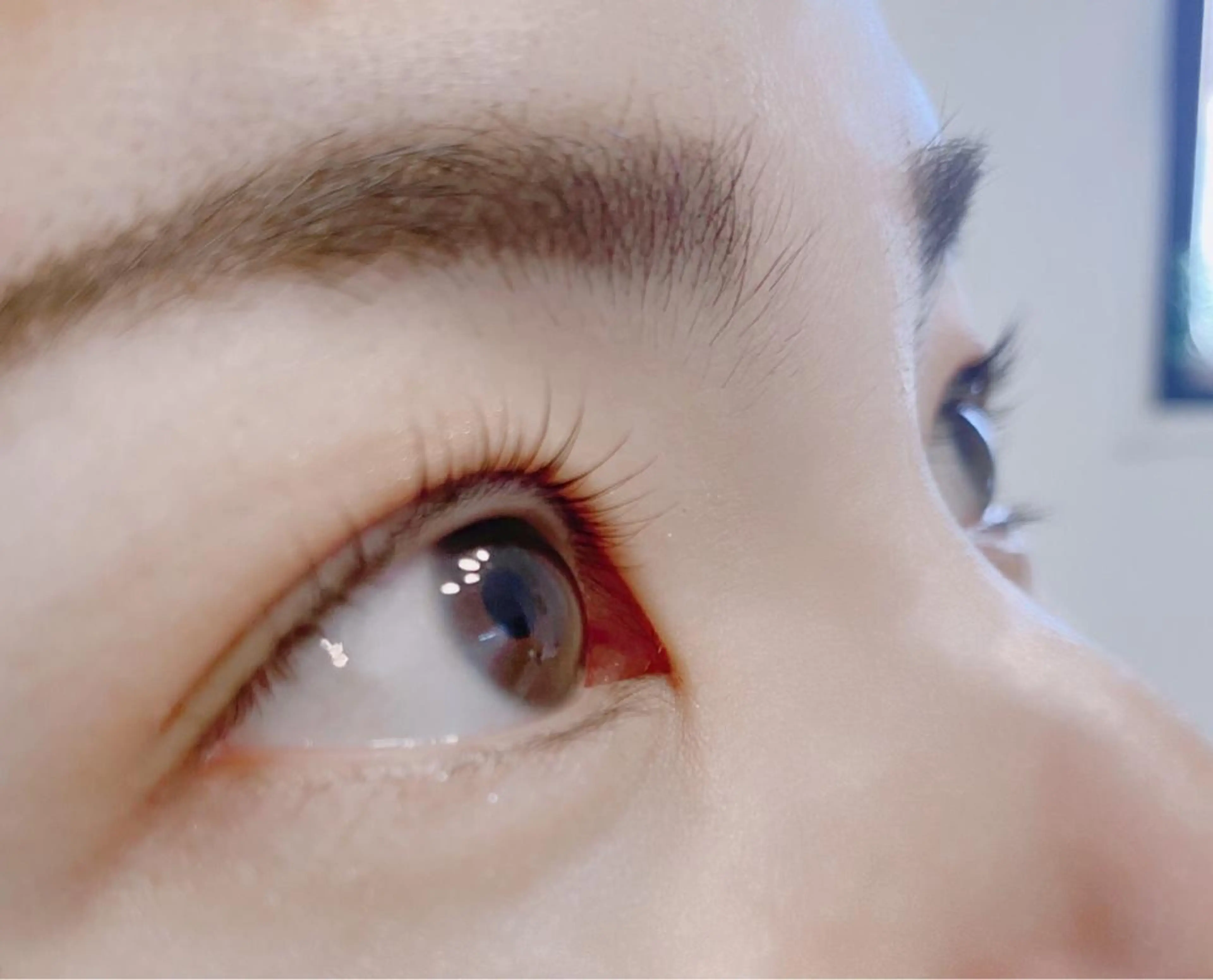 マツエク・マツパ 脱毛　マツ毛パーマ Moluのマツエク・マツパデザイン