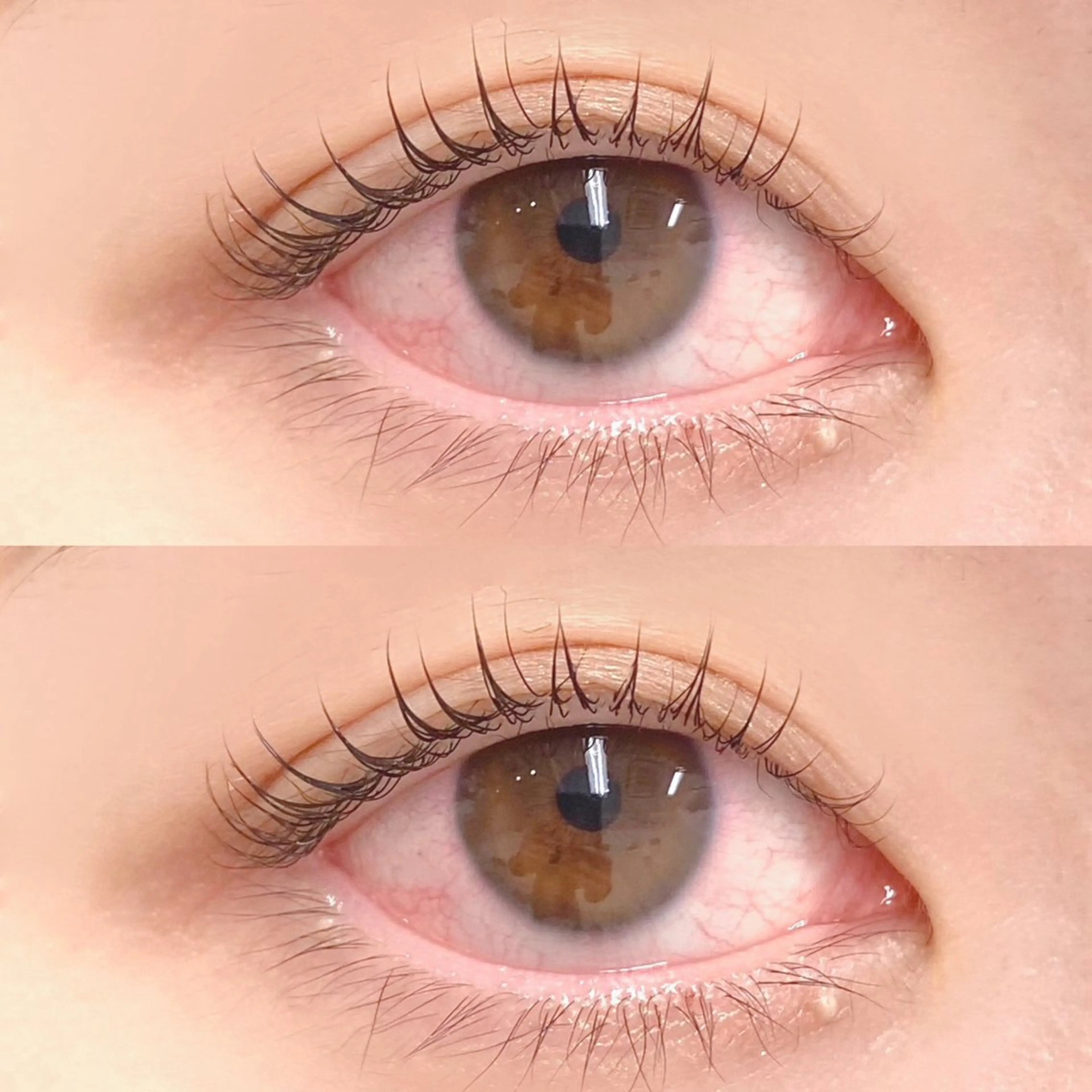 マツエク・マツパ マツパ Bianca横浜関内 NOSHITA𓆉のマツエク・マツパデザイン