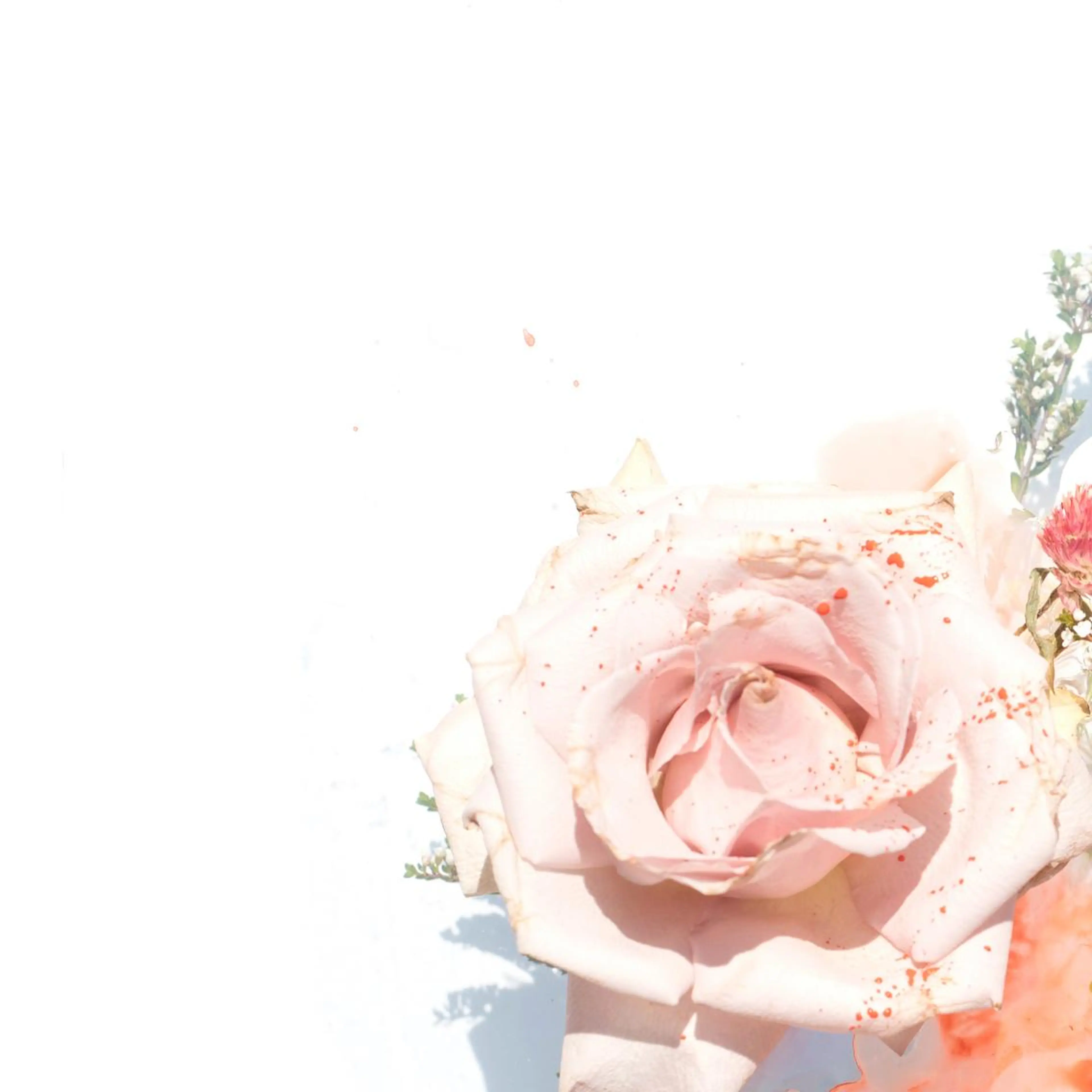 TIÁM eyelashのマツエク・マツパデザイン