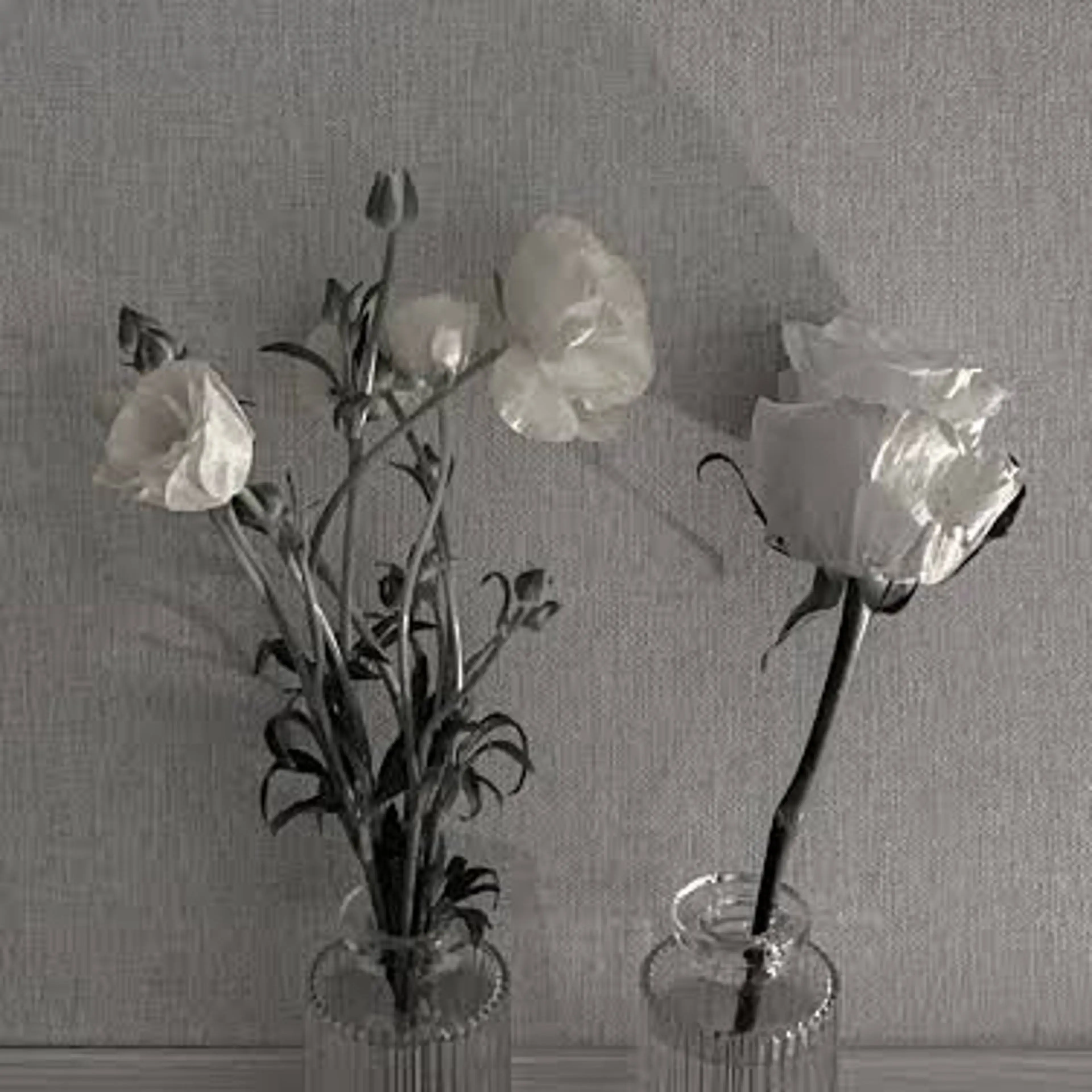 【パーマ&エクステ】🩰パリエク🍒リフエクフラットラッシュの写真